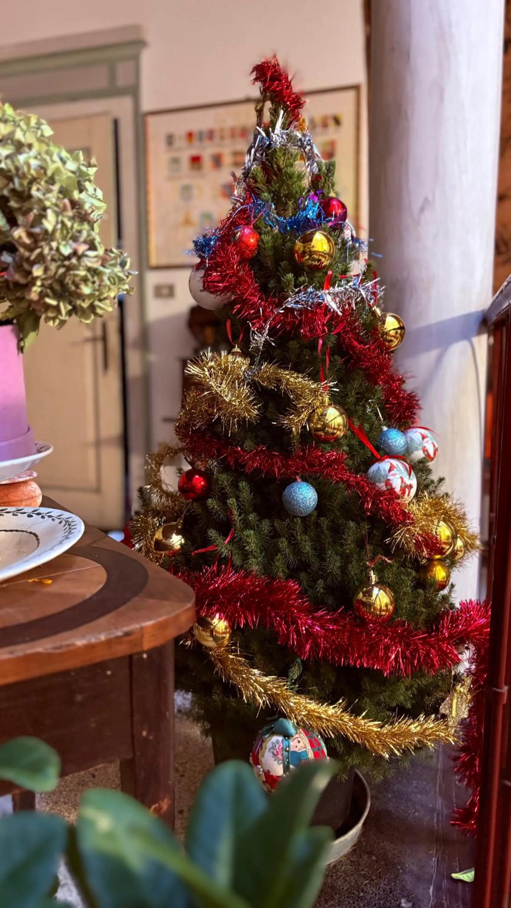 Other in B&B Villa Gradenigo