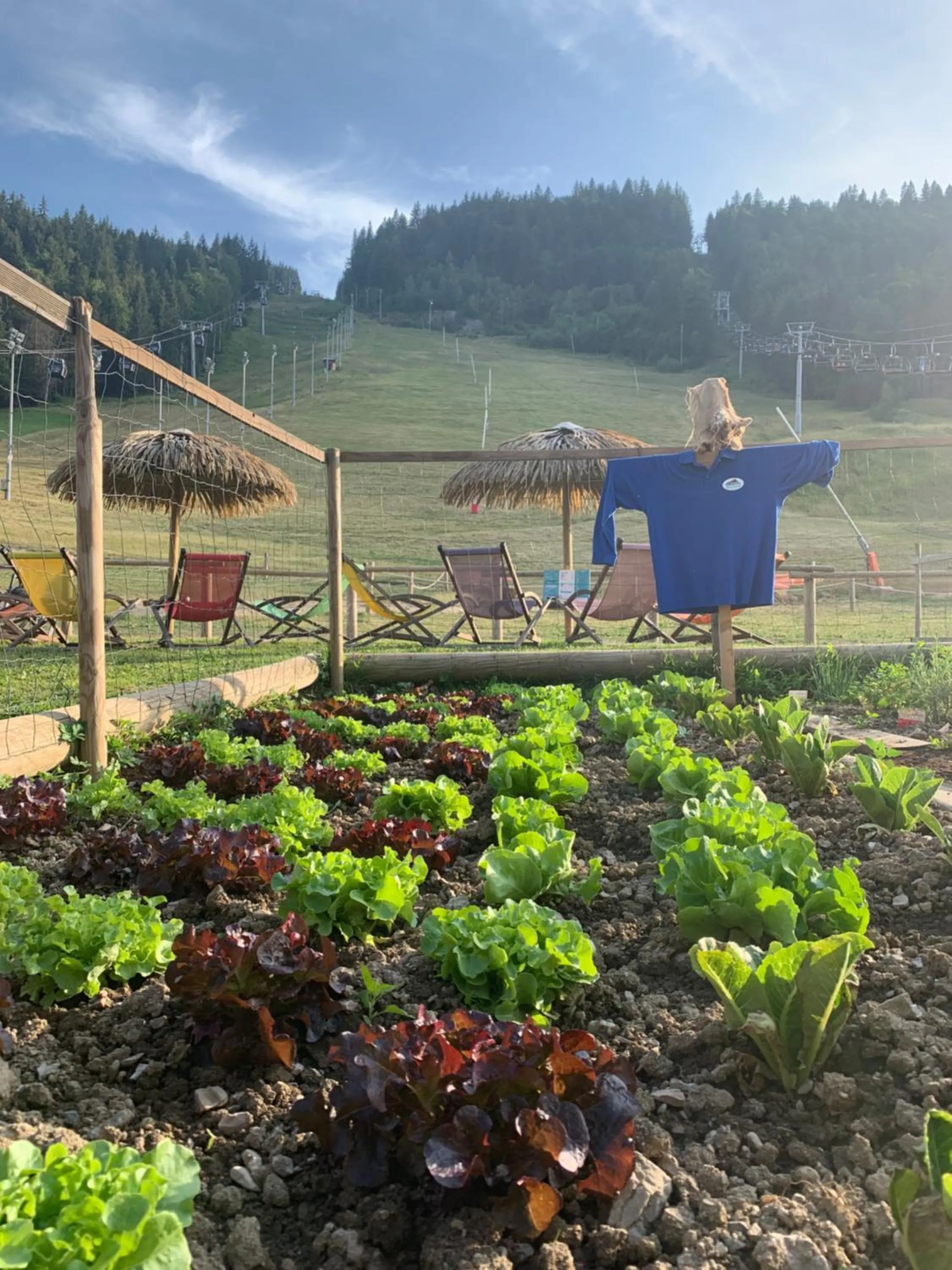 Garden in Hotel Le Tremplin