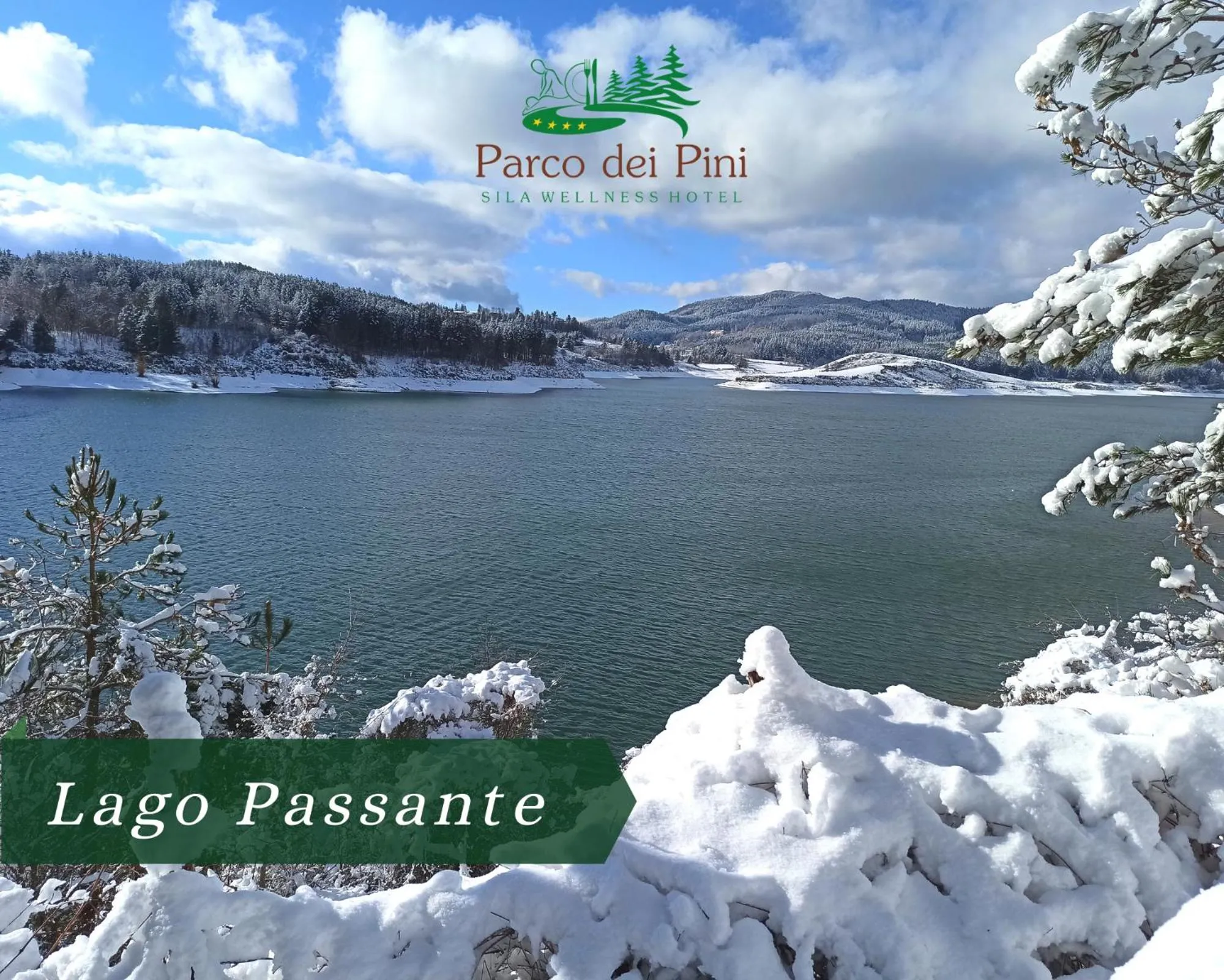 Neighbourhood in Parco dei Pini - Sila Wellness Hotel