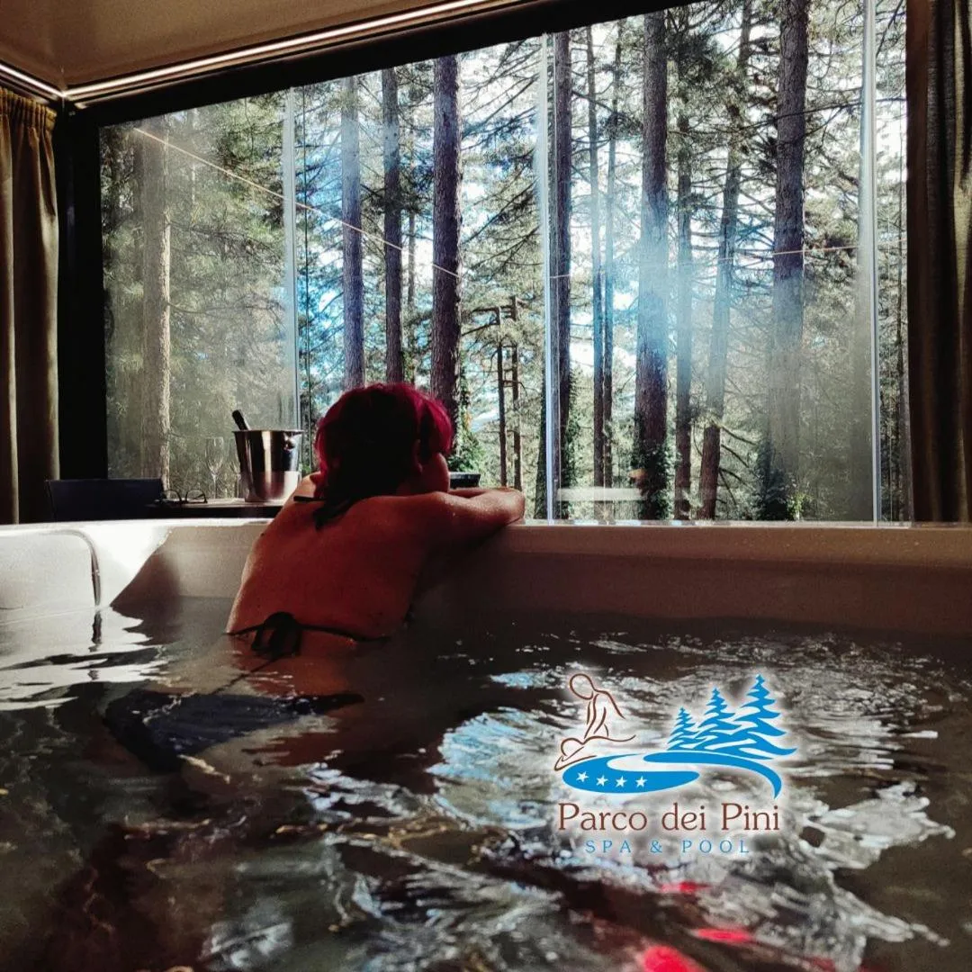 Swimming pool in Parco dei Pini - Sila Wellness Hotel