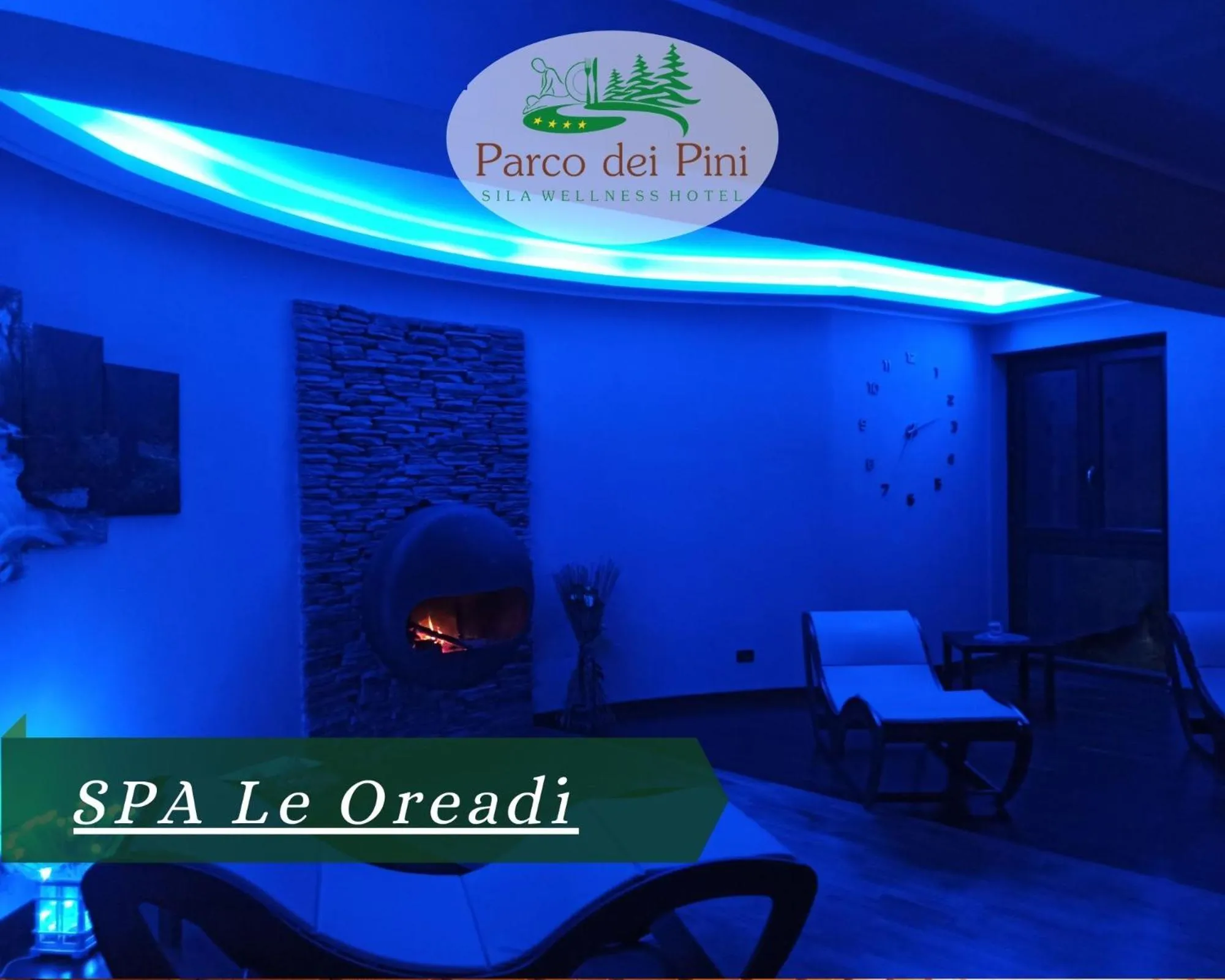 Spa and wellness centre/facilities in Parco dei Pini - Sila Wellness Hotel