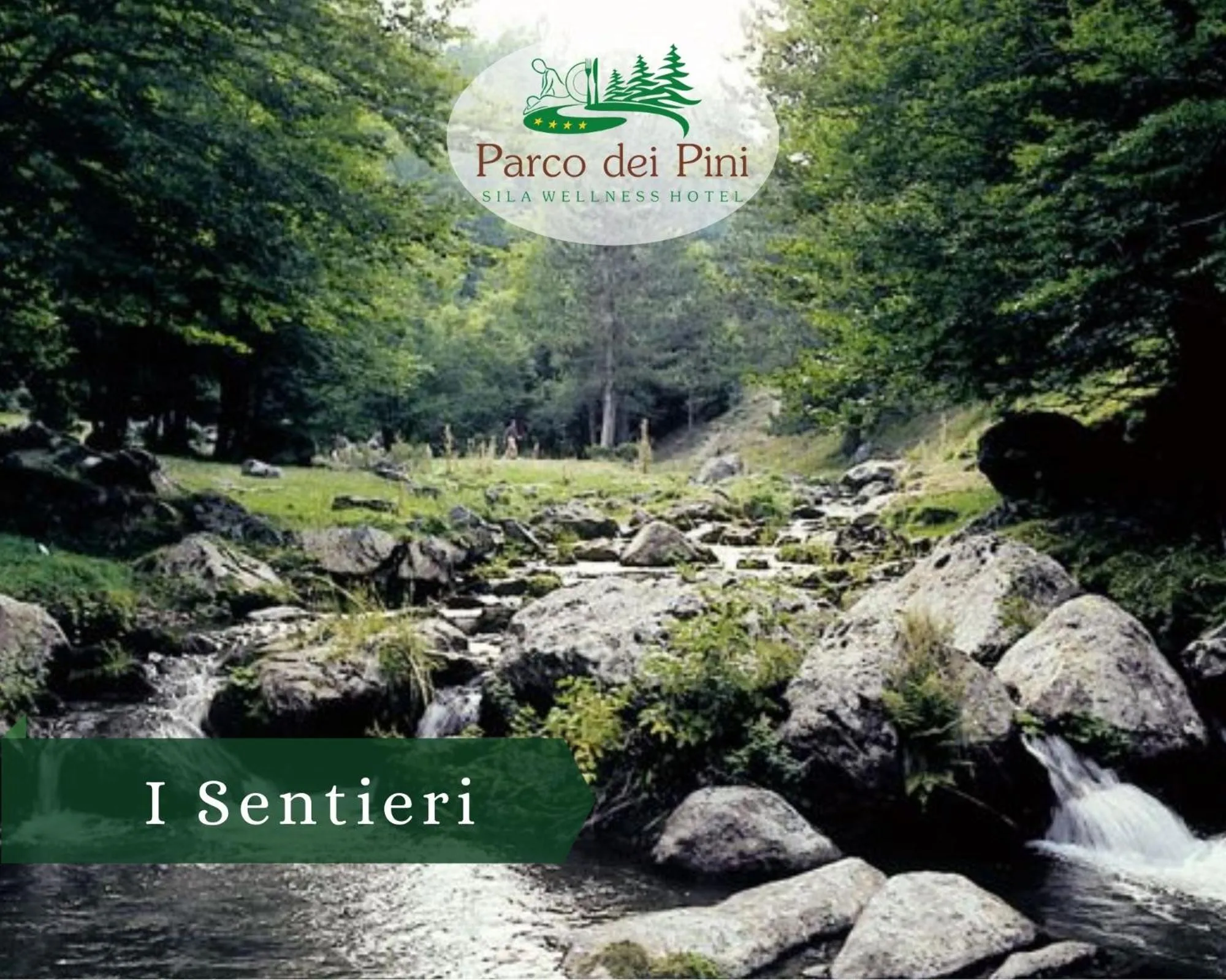 Hiking in Parco dei Pini - Sila Wellness Hotel