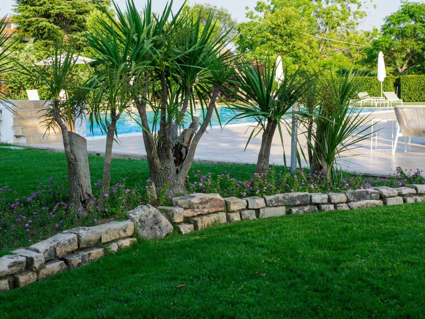 Garden in Hotel Altamira