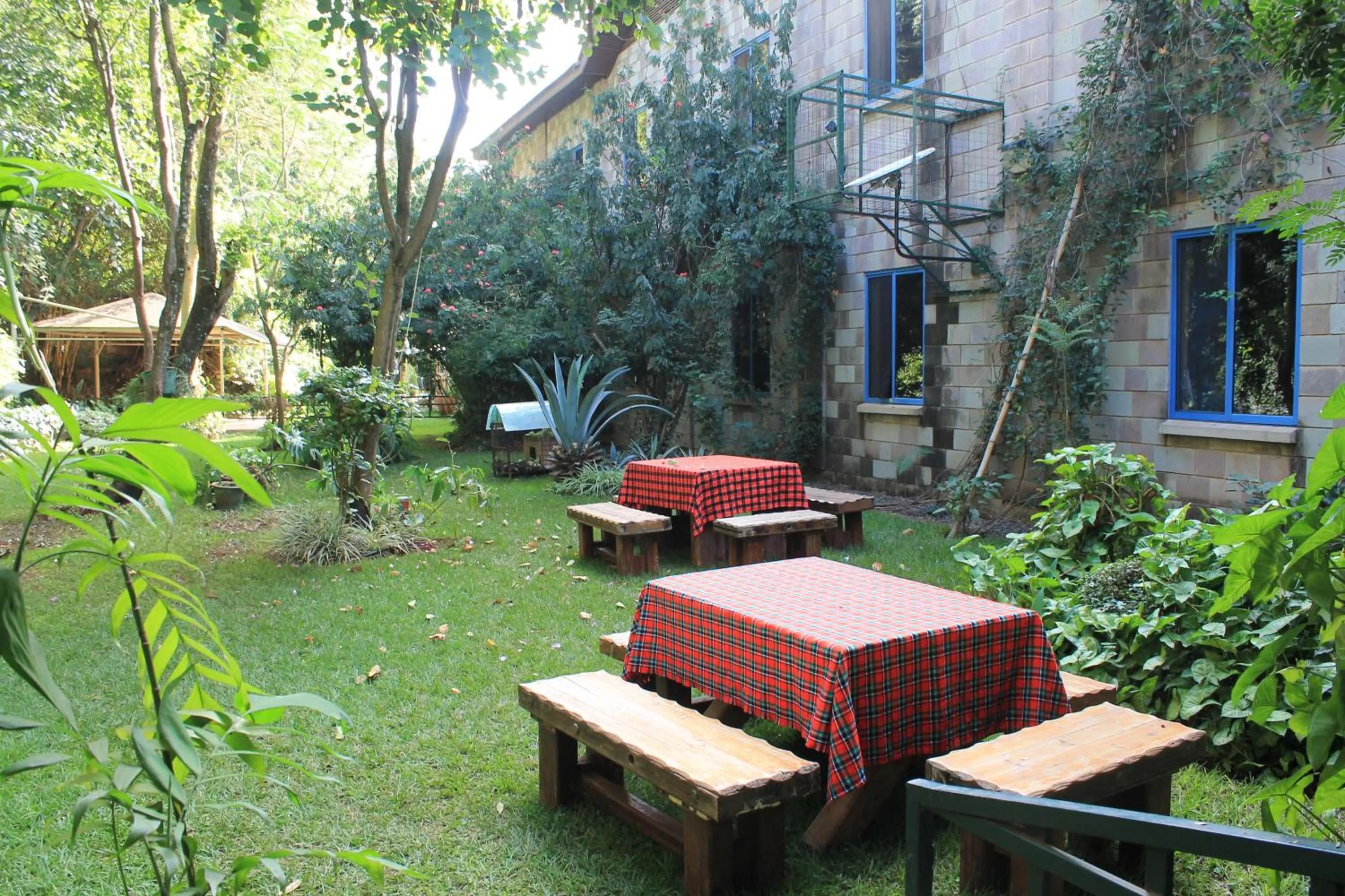 Garden in La Mada Hotel