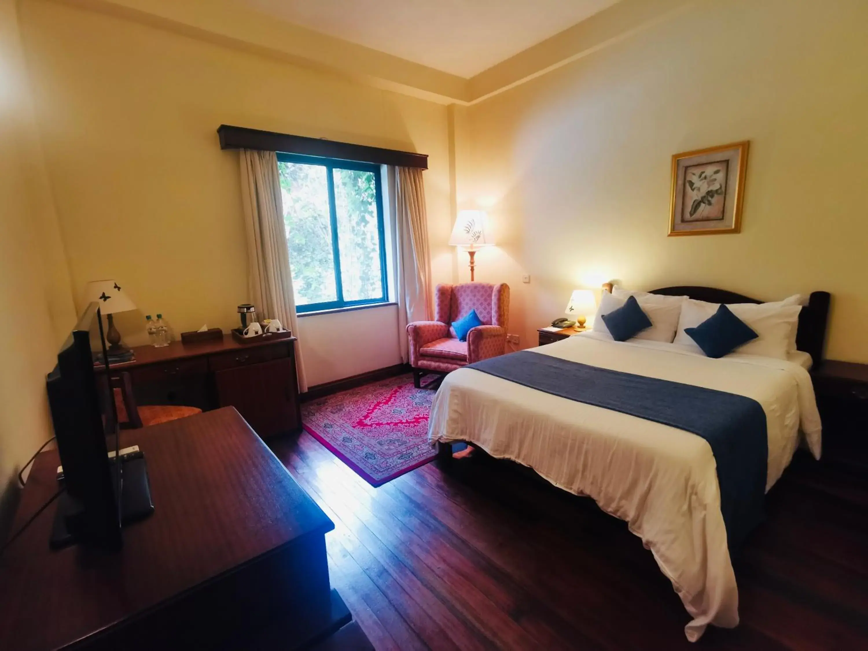 Deluxe Room in La Mada Hotel Deluxe Room in La Mada Hotel