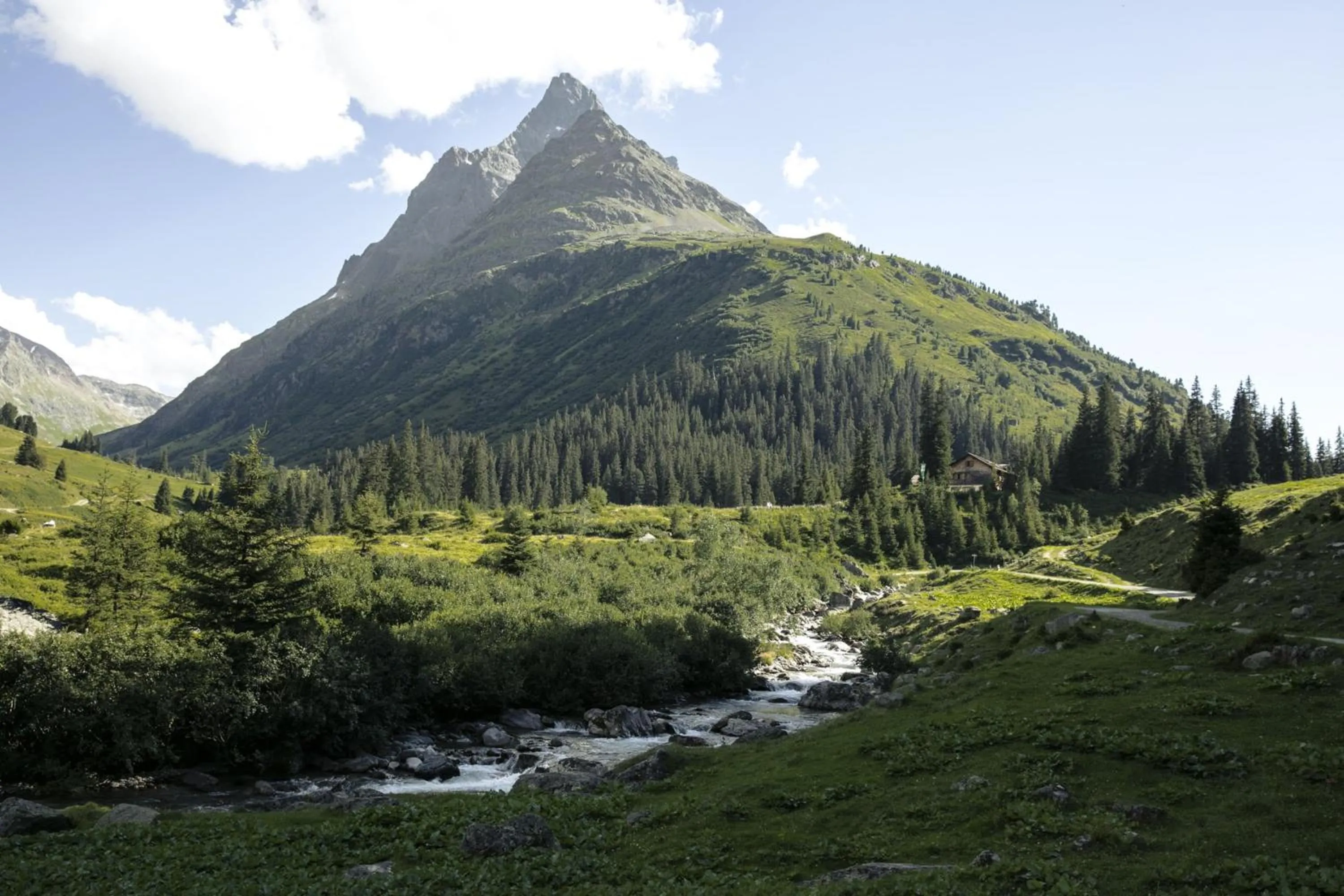 Natural landscape in Hotel zur Pfeffermühle