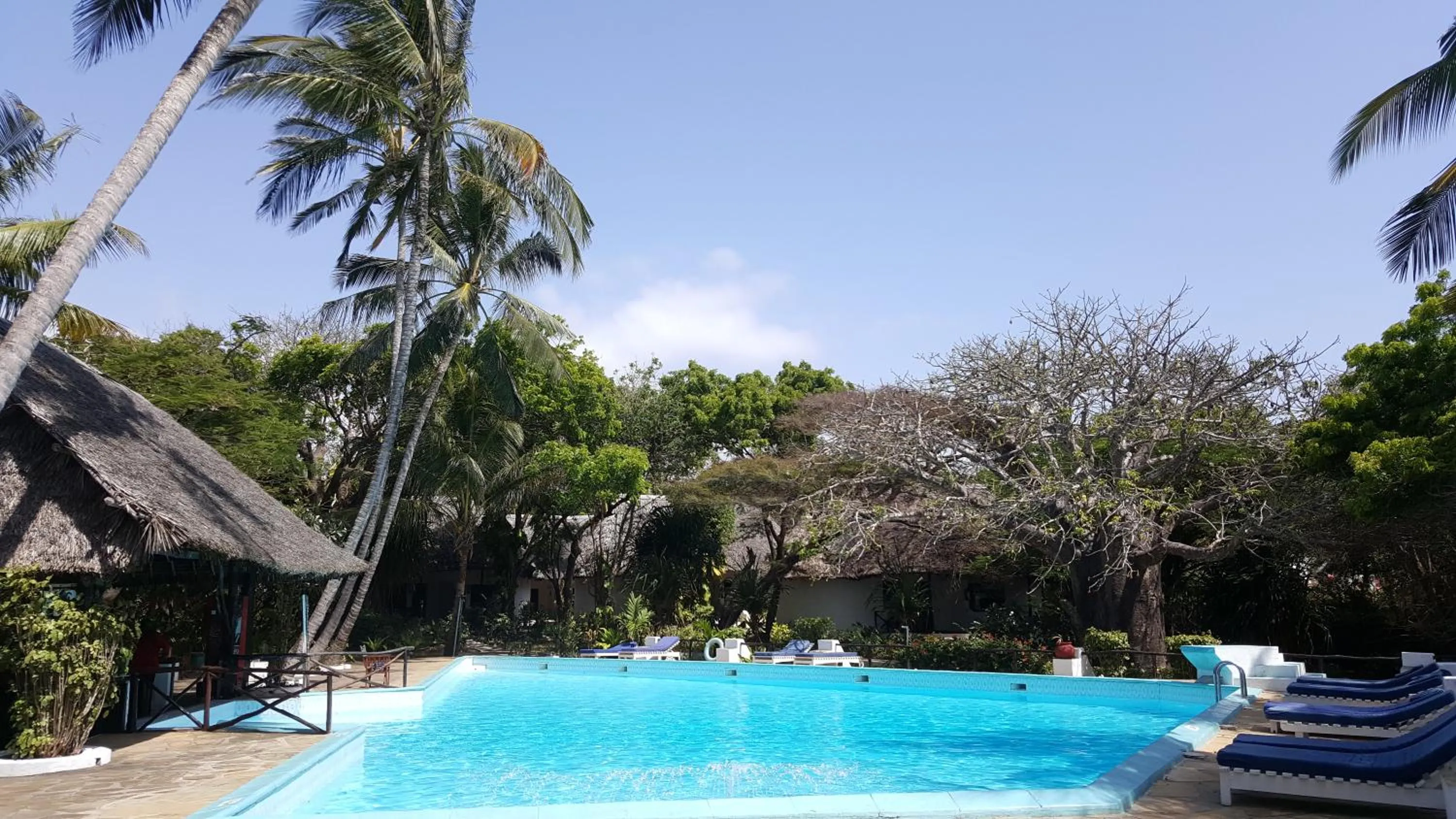 Swimming pool in Baobab Sea Lodge
