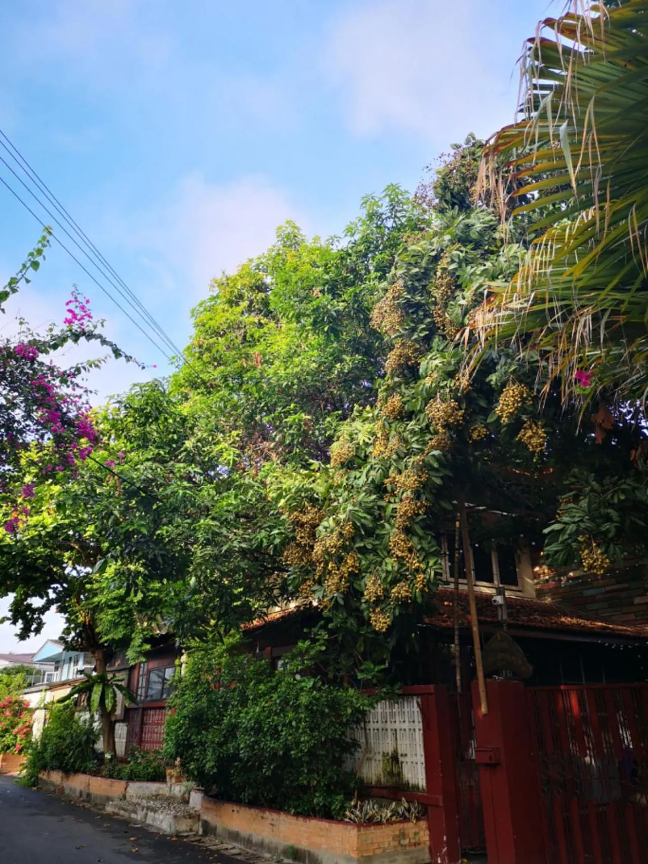 Property building in Boutique House Nipha