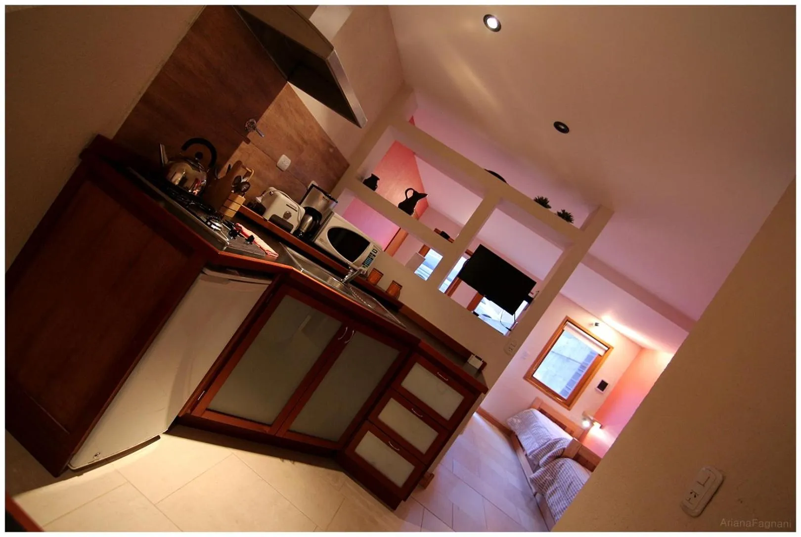 Kitchen or kitchenette in Aires del Beagle Apartment