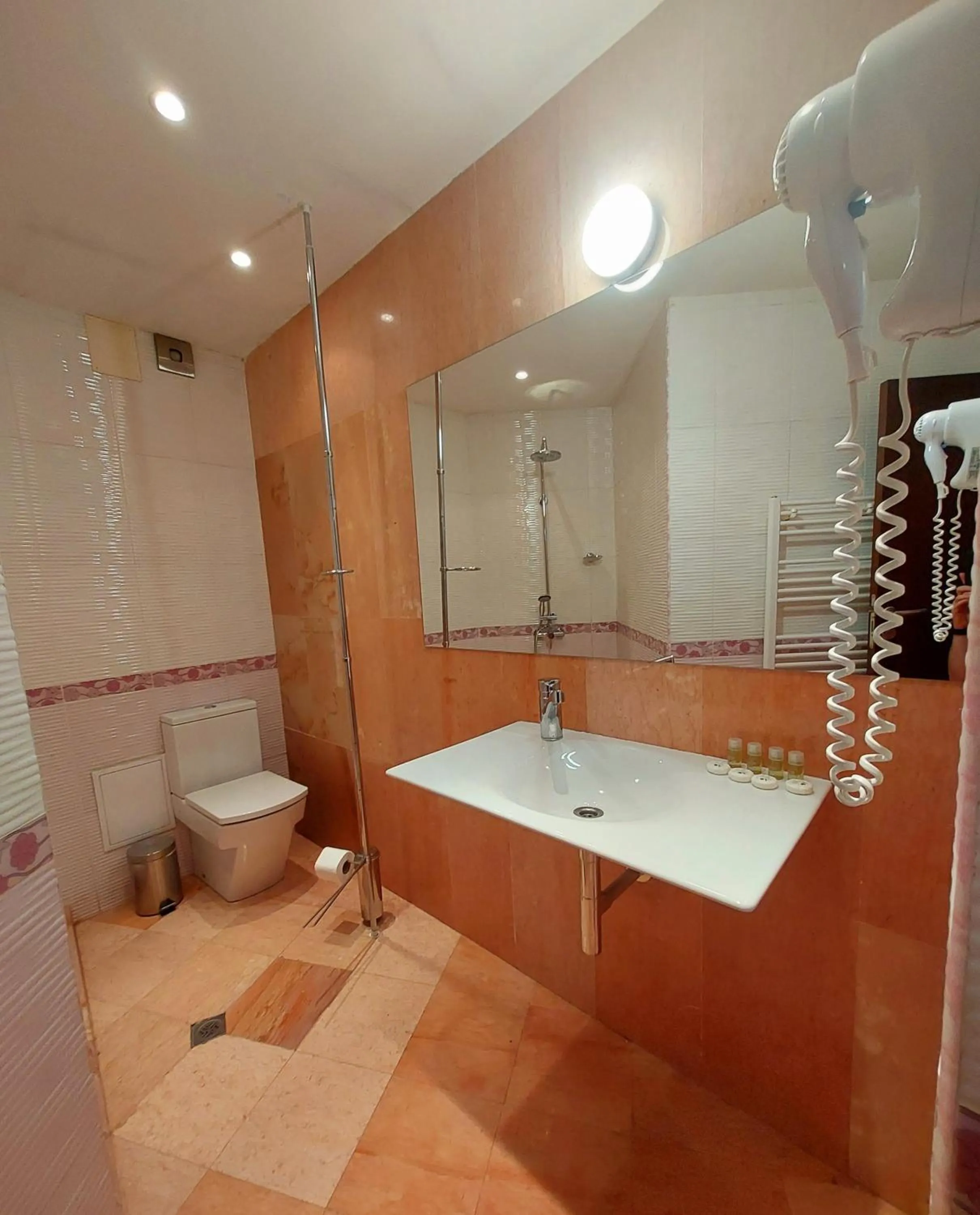 Shower in Hotel City Pleven
