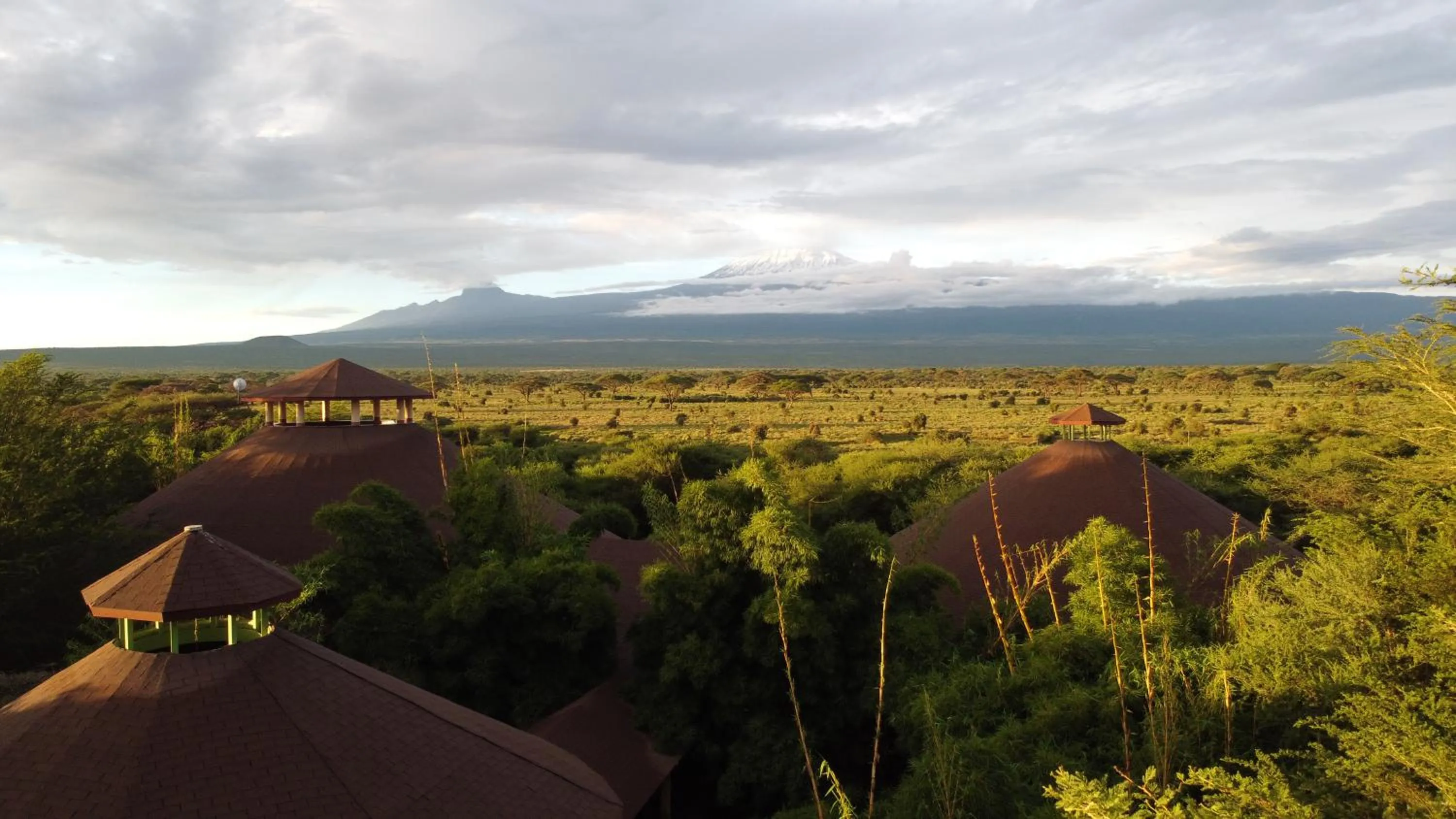Bird's eye view in Kilima Safari Camp
