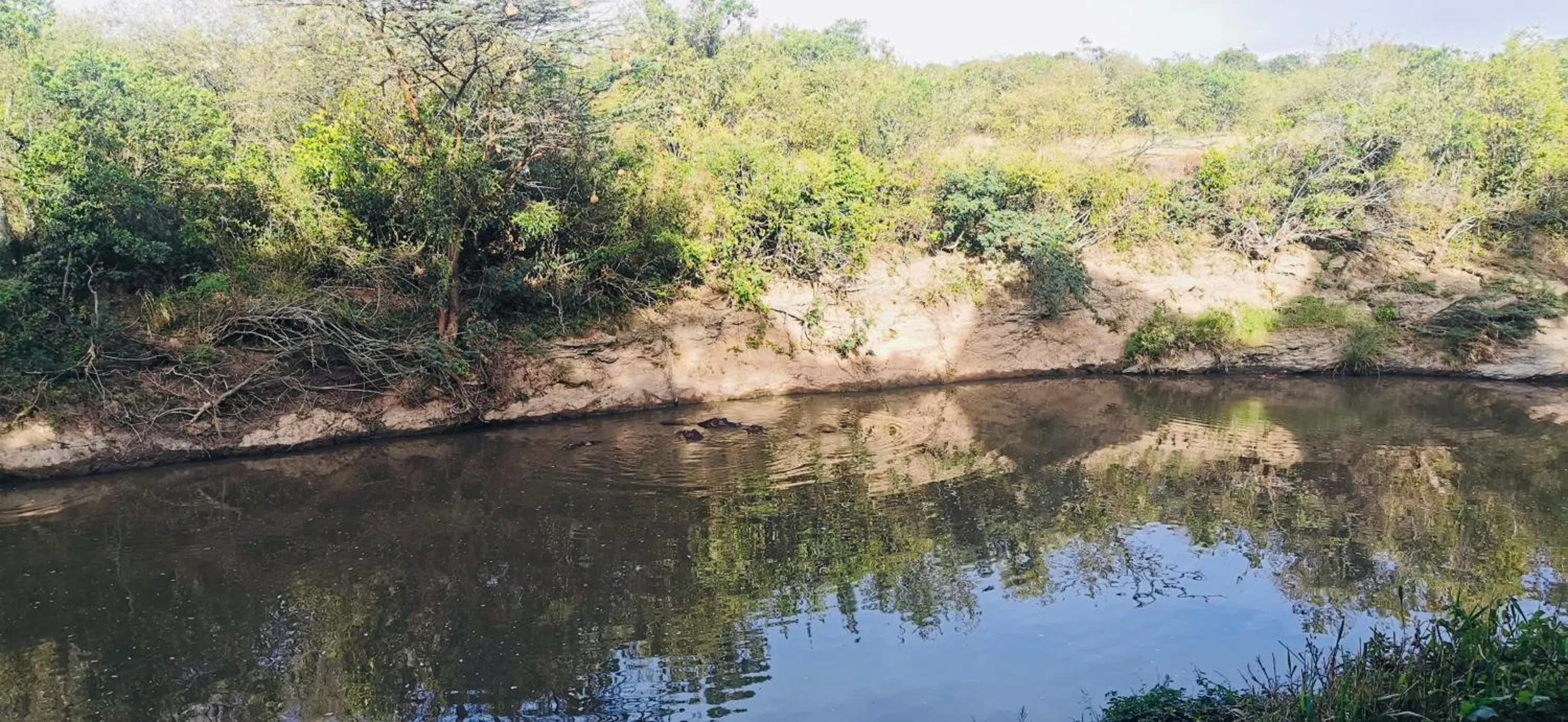 River view in Fig Tree Camp - Maasai Mara