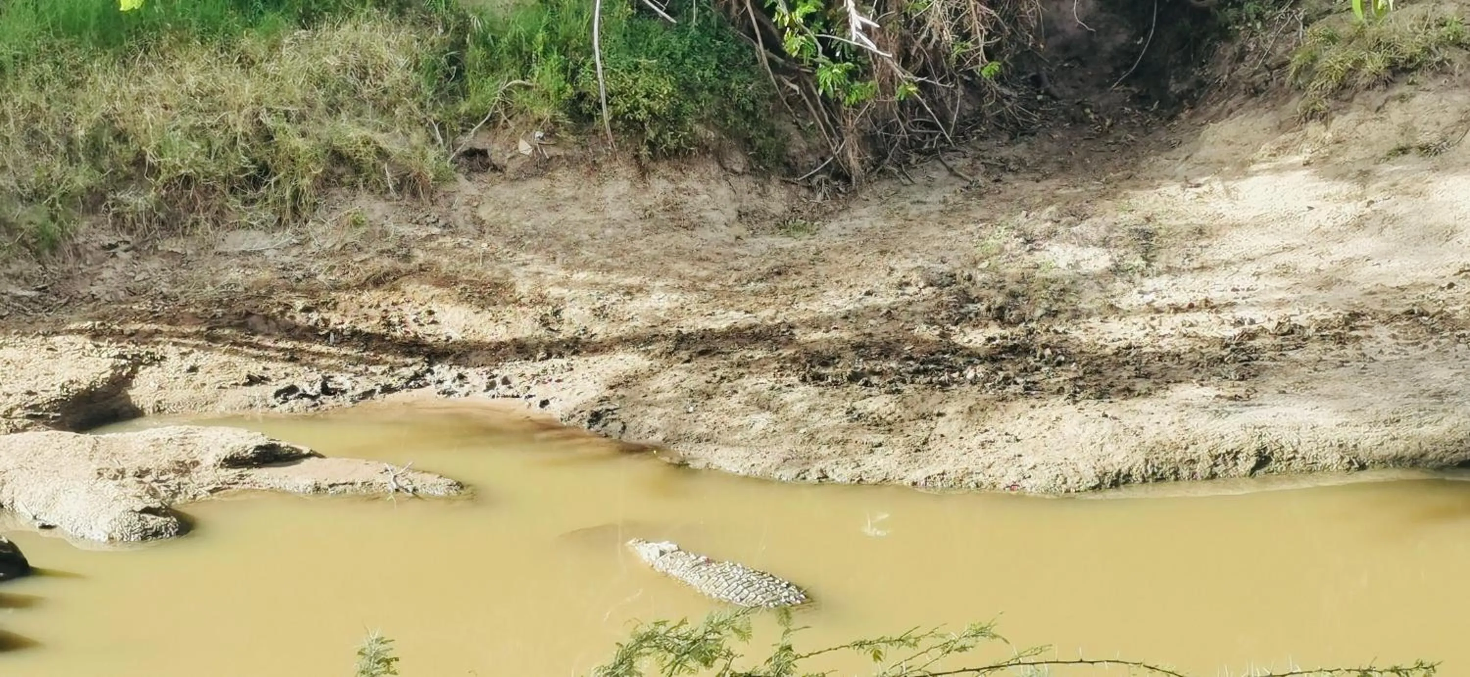 River view in Fig Tree Camp - Maasai Mara