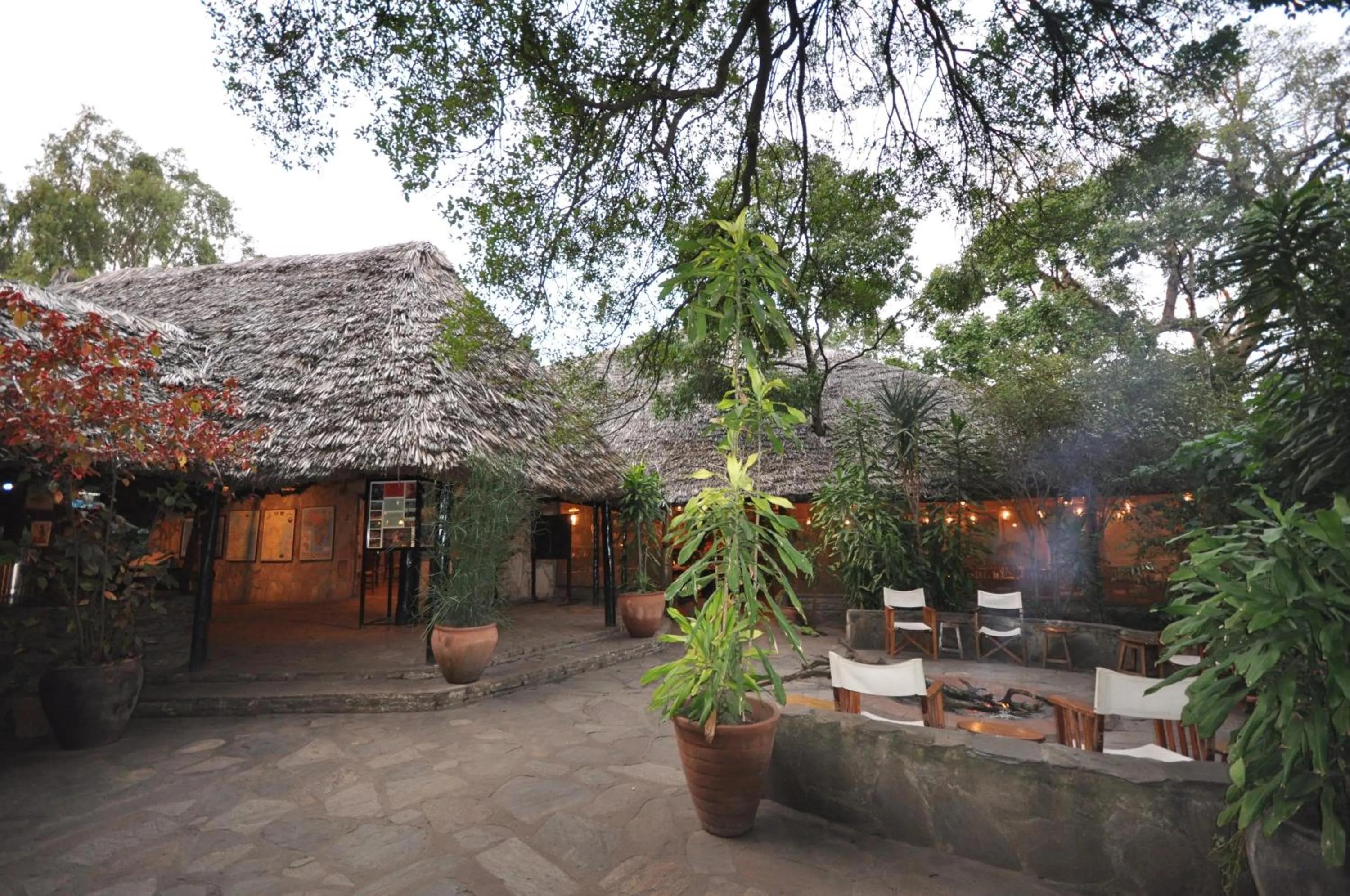 Facade/entrance in Fig Tree Camp - Maasai Mara