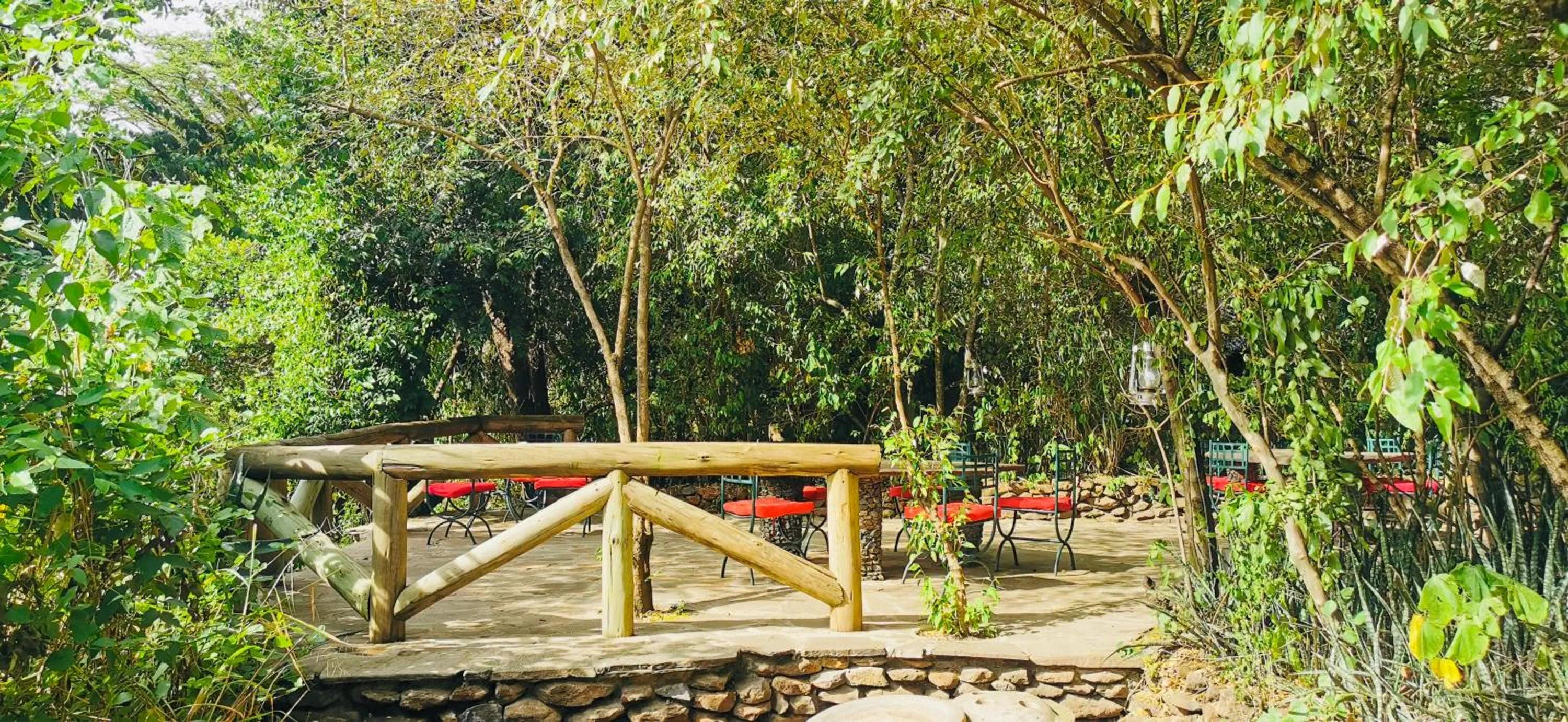 Restaurant/places to eat in Fig Tree Camp - Maasai Mara