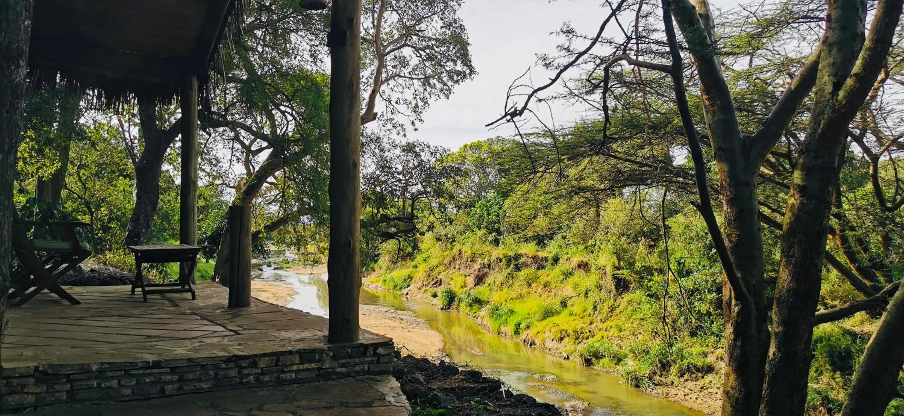 River view in Fig Tree Camp - Maasai Mara