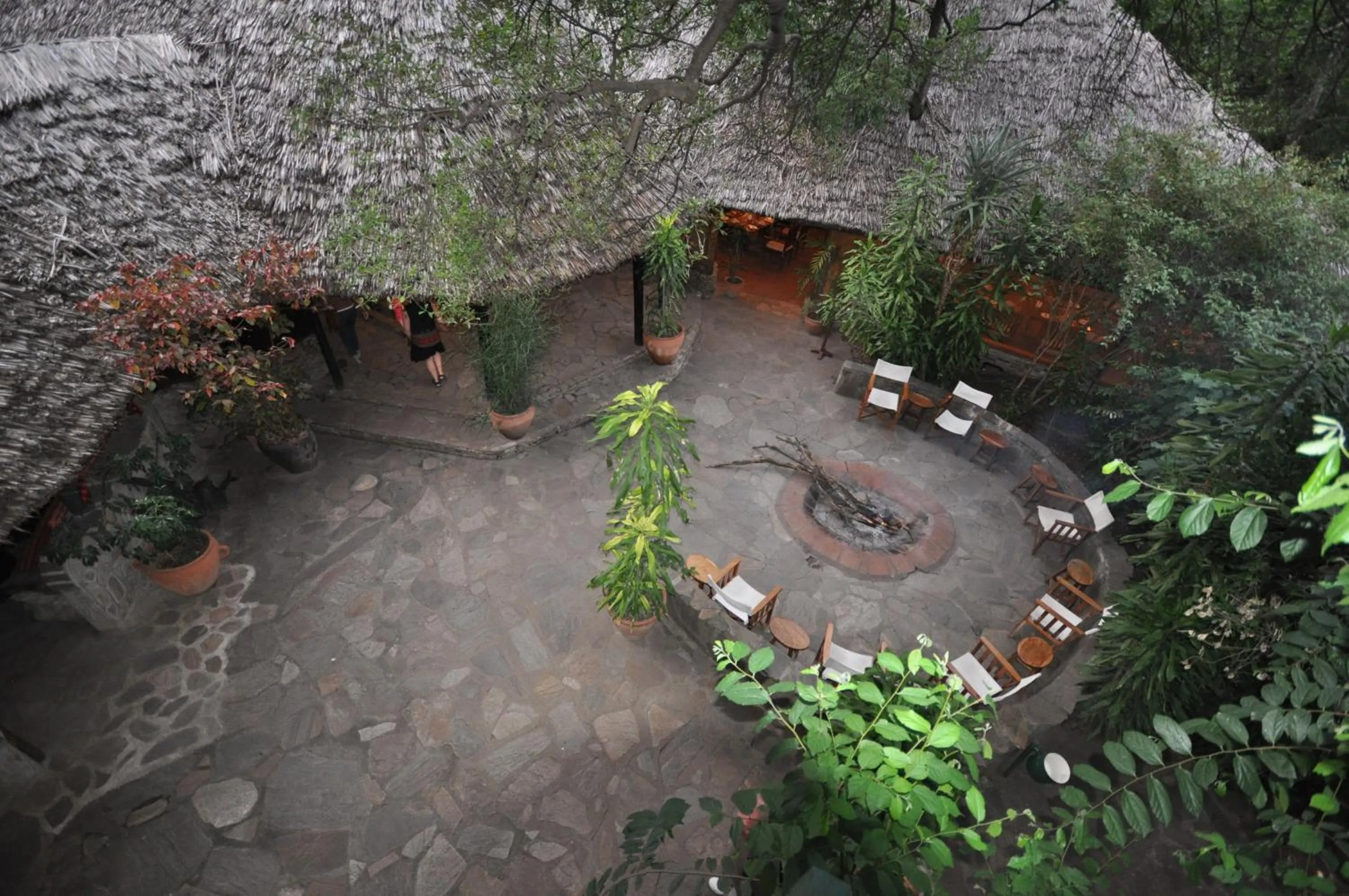 Patio in Fig Tree Camp - Maasai Mara