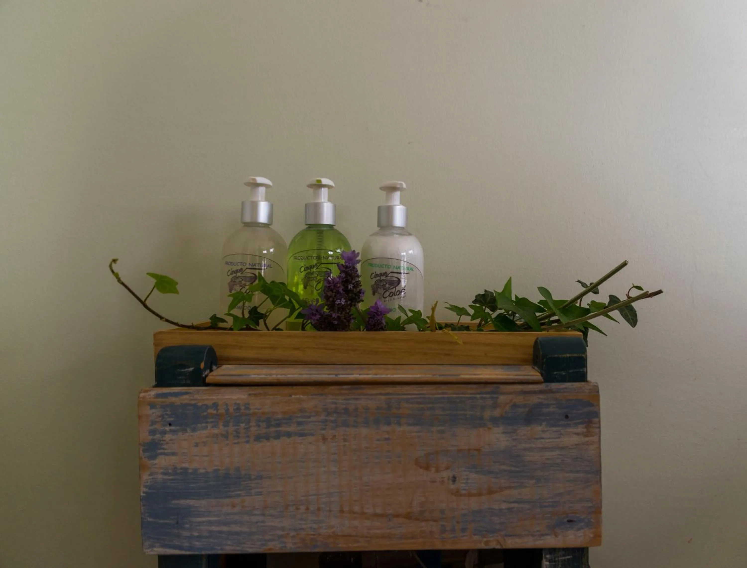 Cinque Colori Bed & Breakfast- Spa