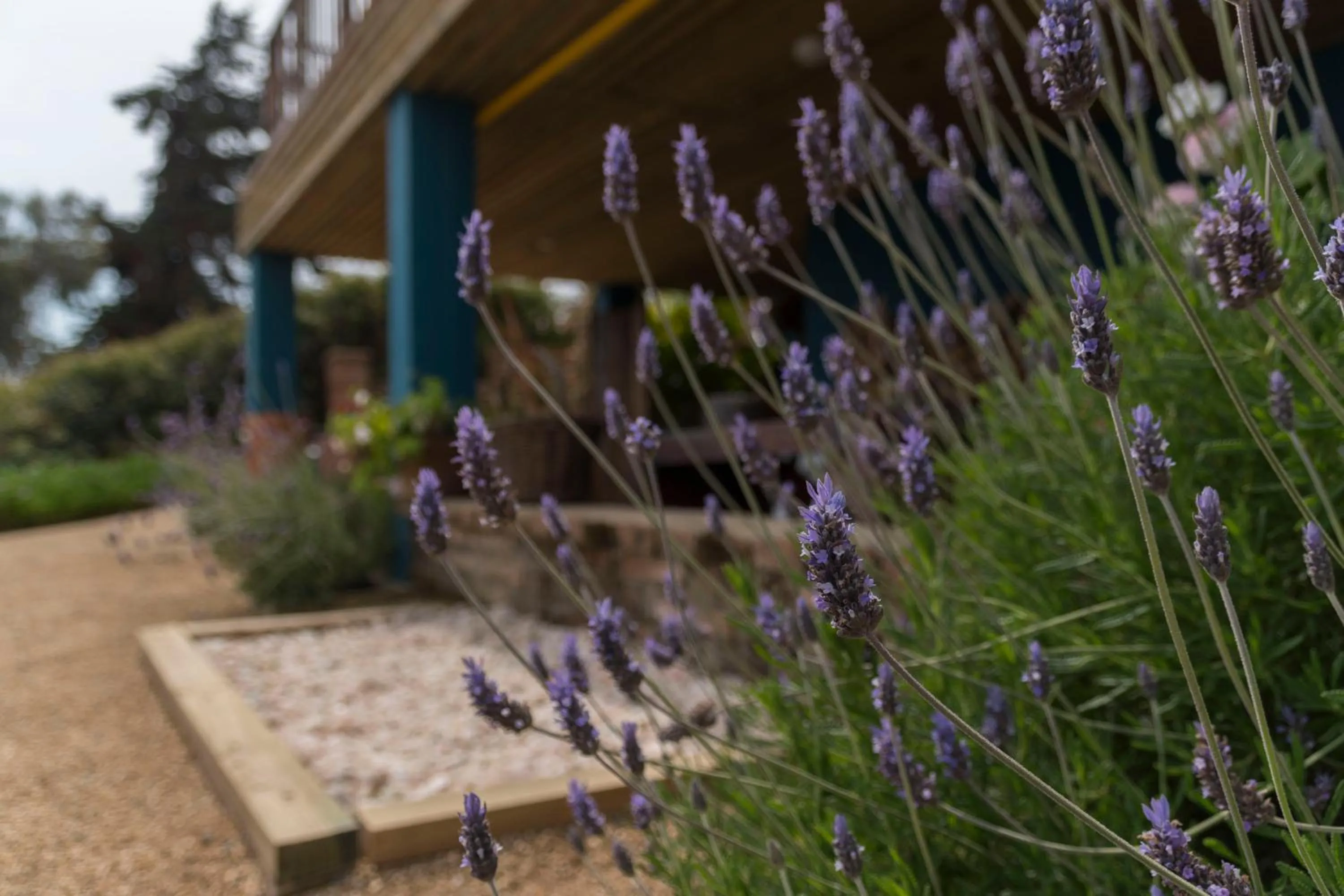 Cinque Colori Bed & Breakfast- Spa