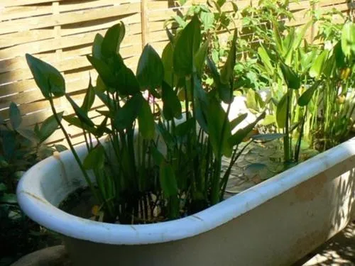 Other in Maison d'Hôtes et Roulotte" Le 6 Bis"