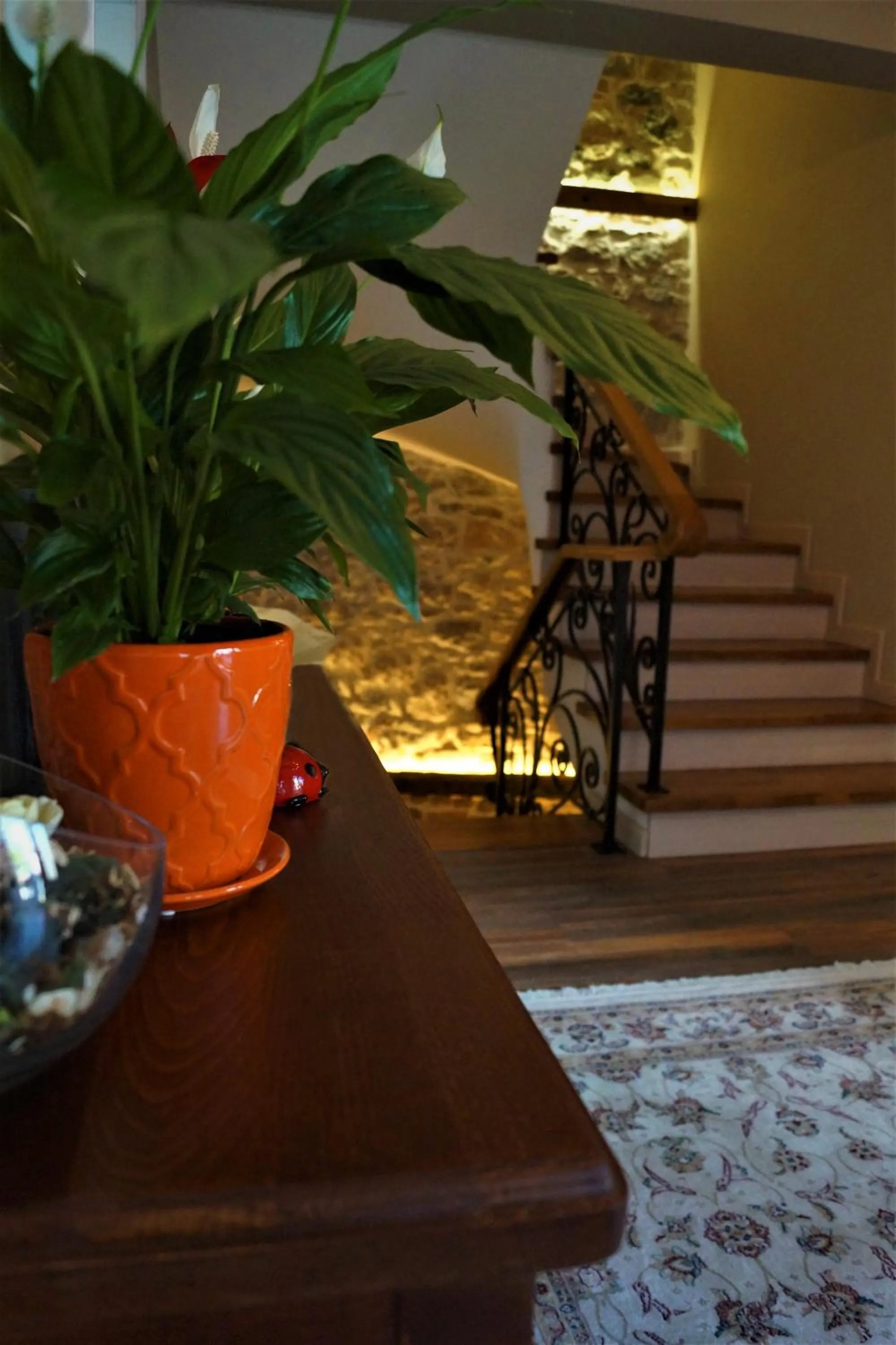 Day in Vila Trebicka