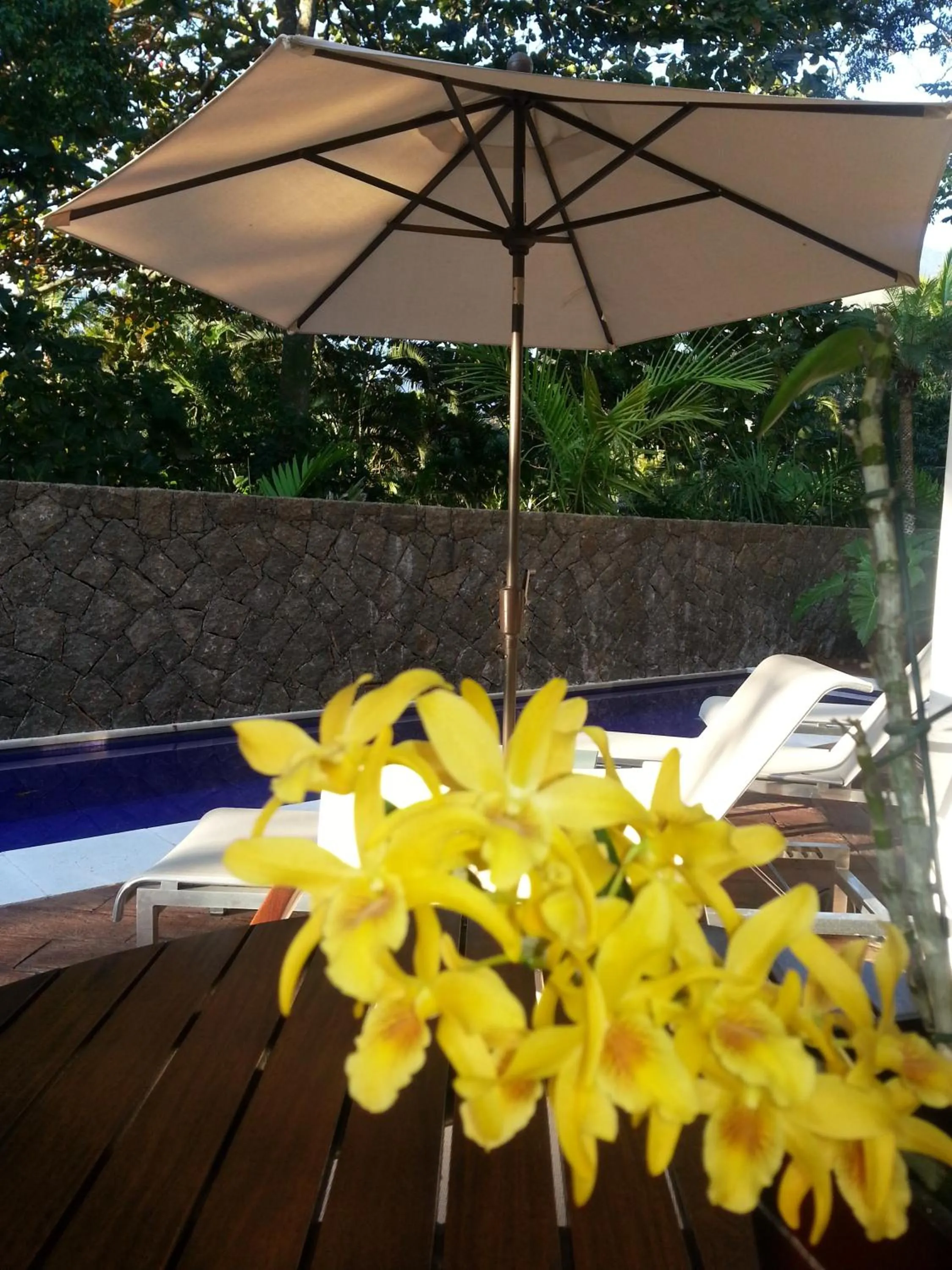 Balcony/Terrace in Abayomi Hotel