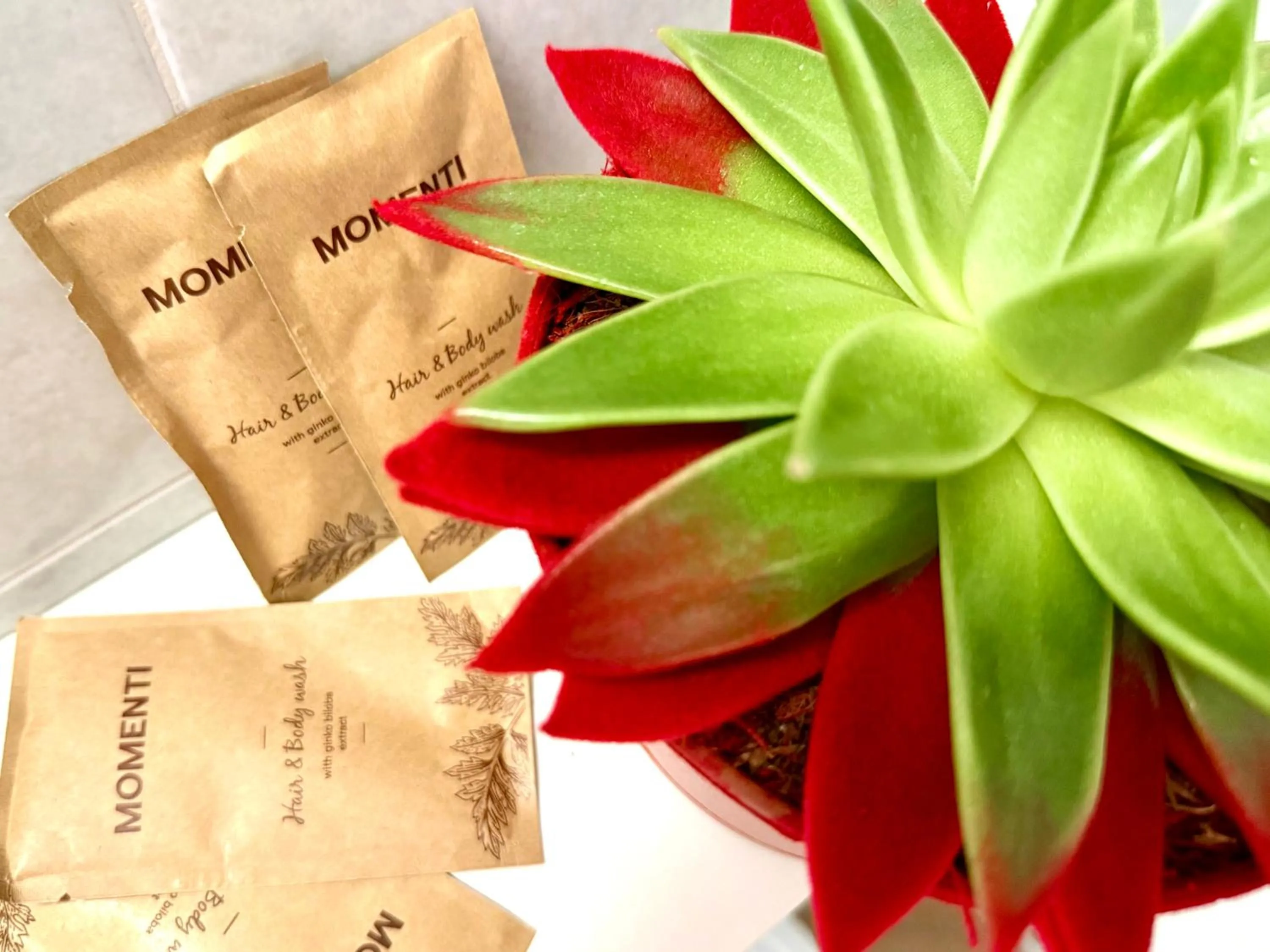 Decorative detail in Residence Algarve