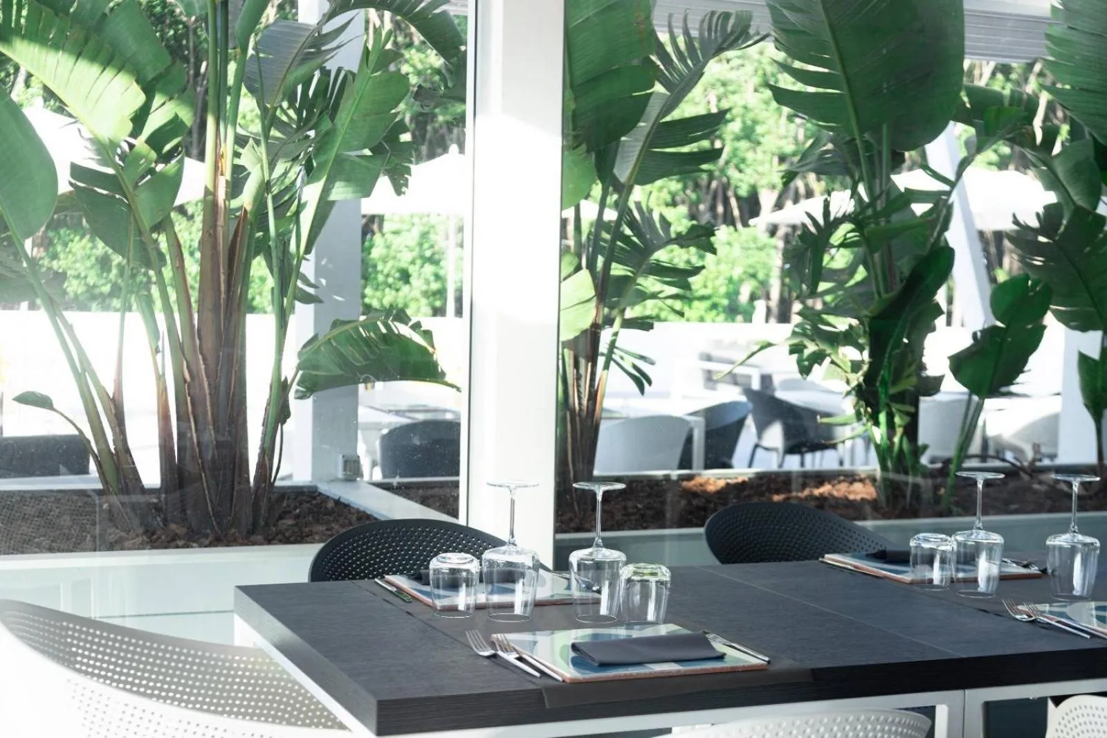 Restaurant/places to eat in Hotel Quadrifoglio