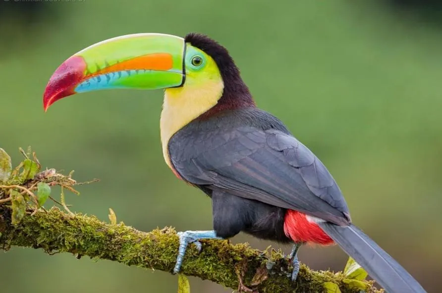 Animals in Valle Escondido Nature Reserve Hotel & Farm