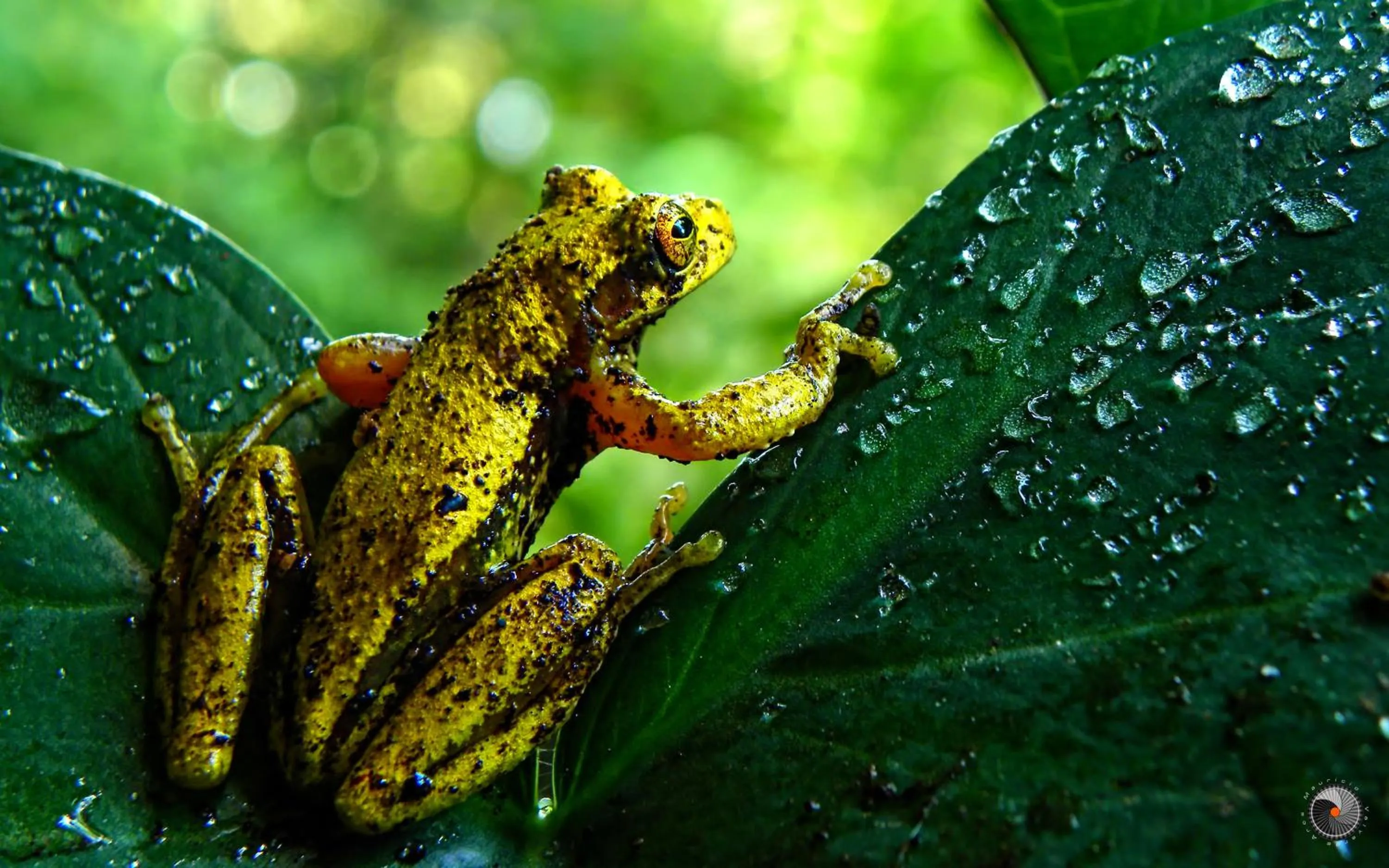 Activities in Valle Escondido Nature Reserve Hotel & Farm