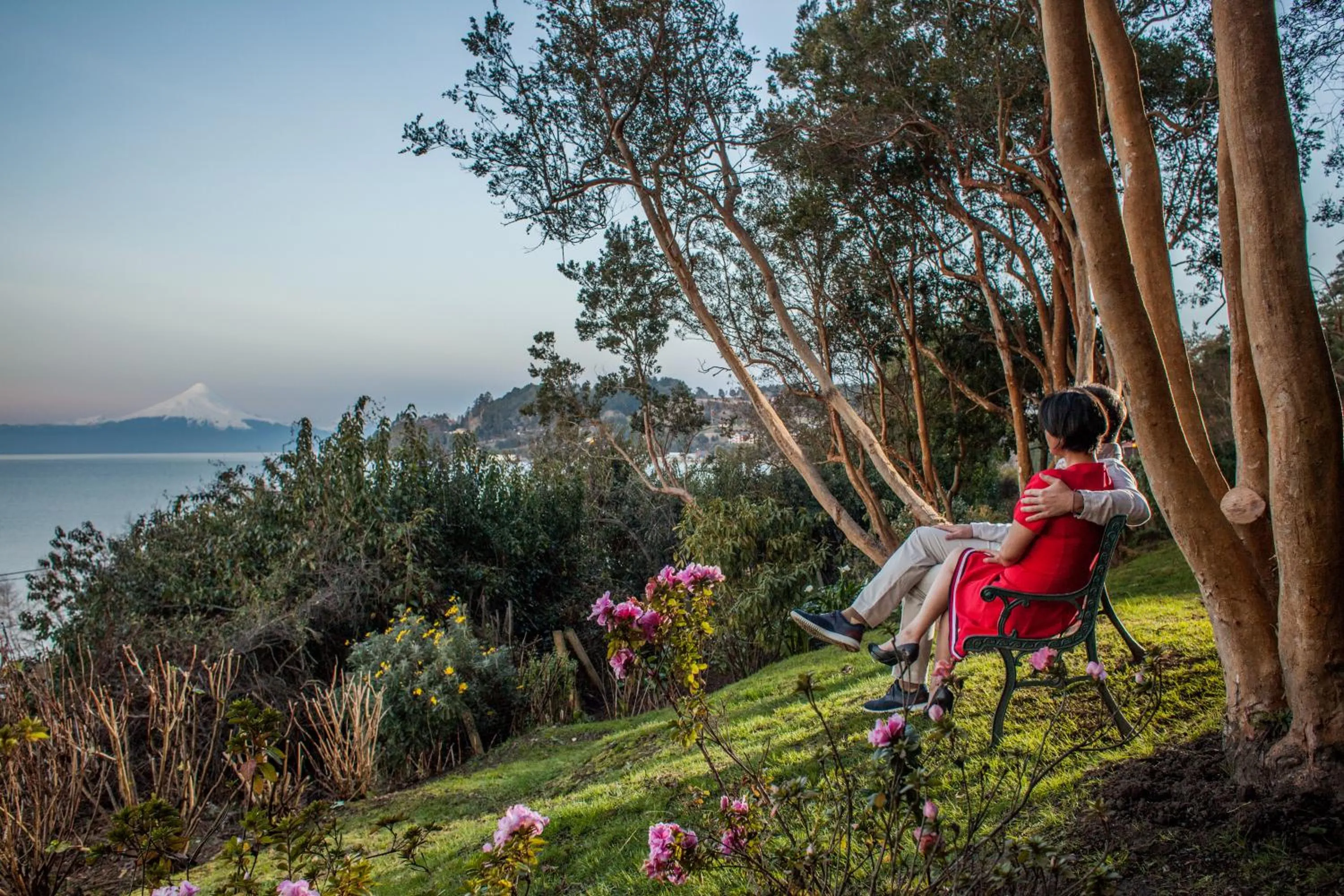 Garden view in Hotel Elun, la mejor vista