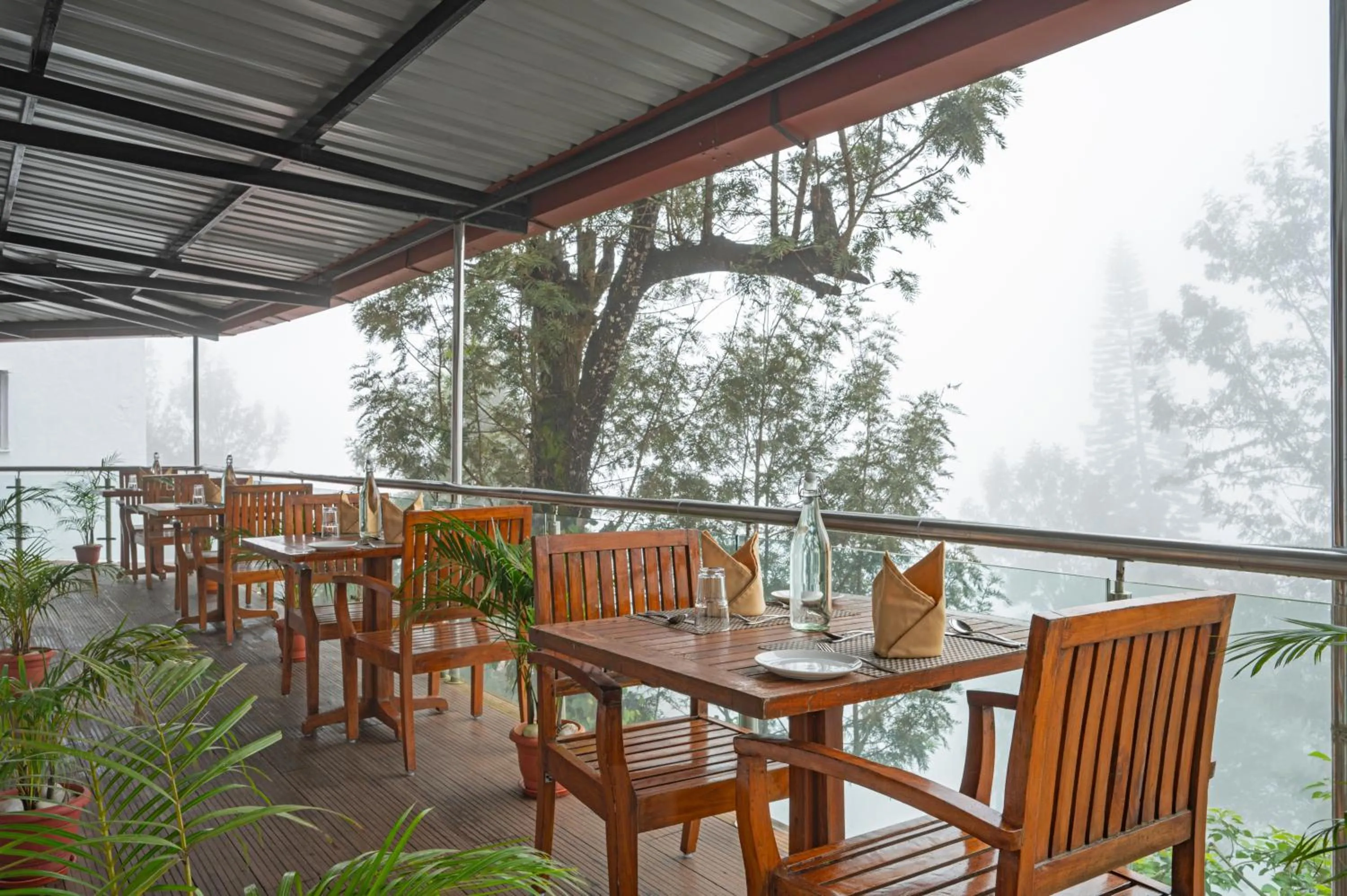 Restaurant/places to eat in Sterling Yercaud