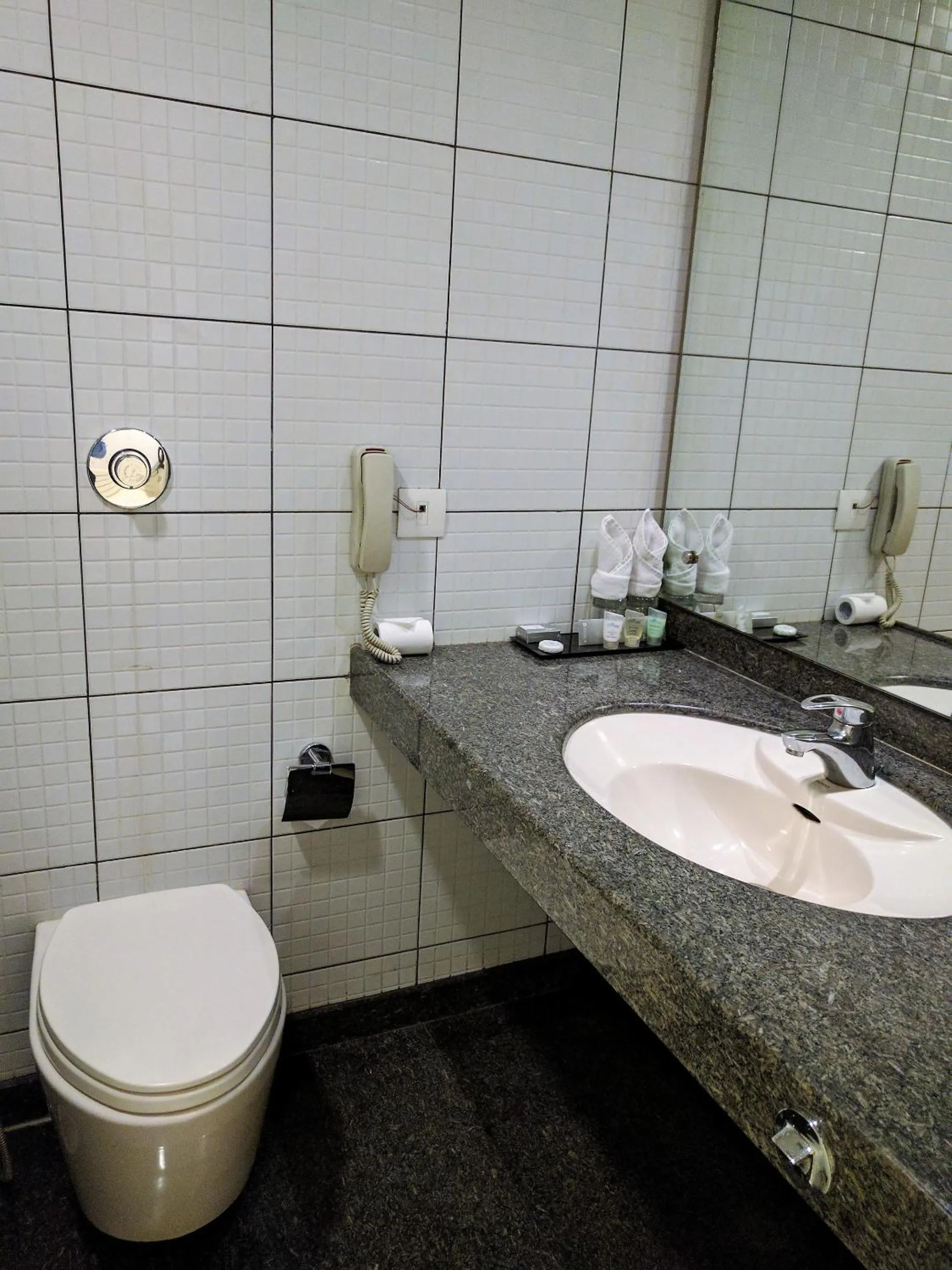 Toilet in Blu Petal - A Business Hotel