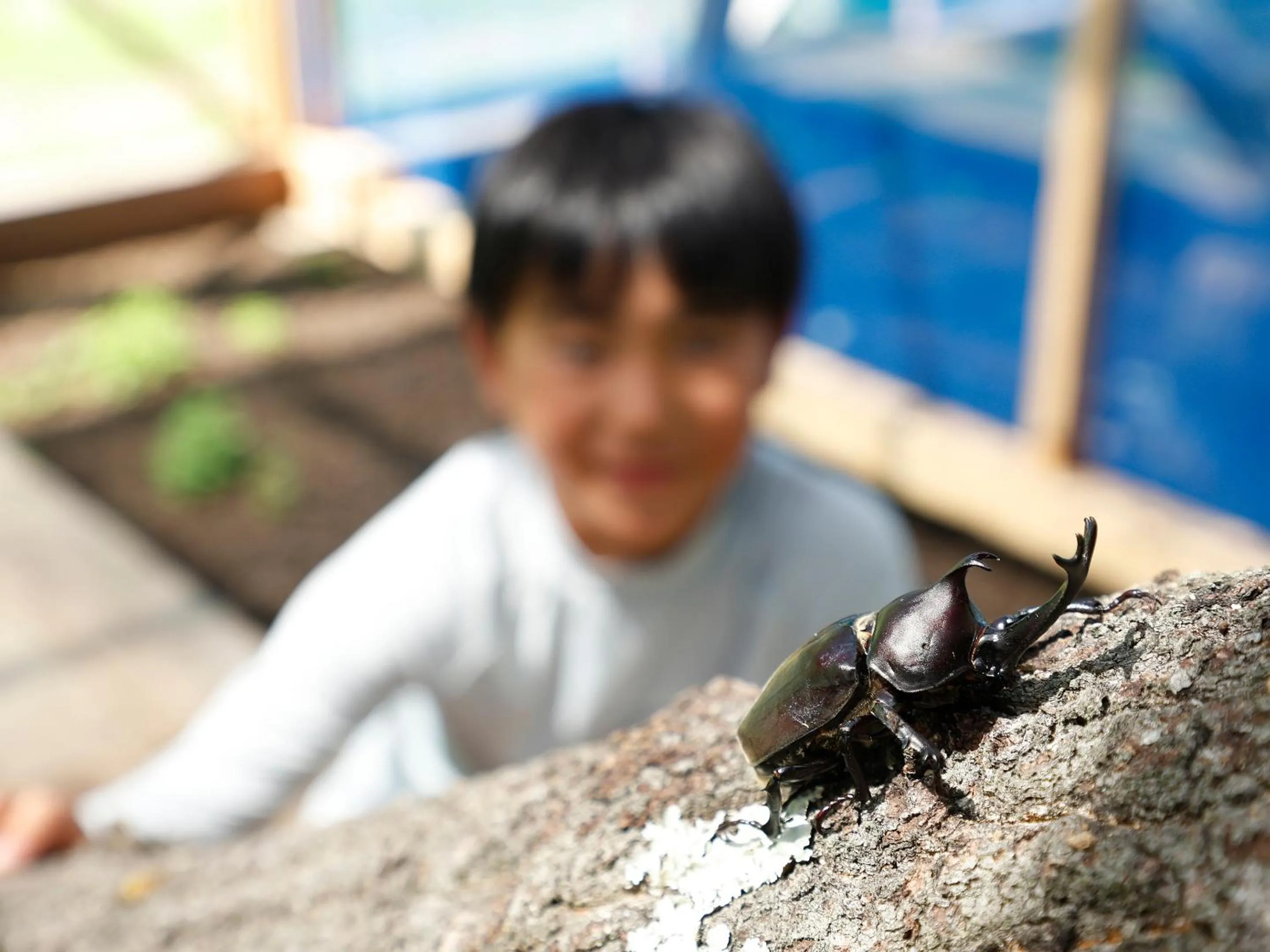 Area and facilities in Hinotani Onsen Misugi Resort