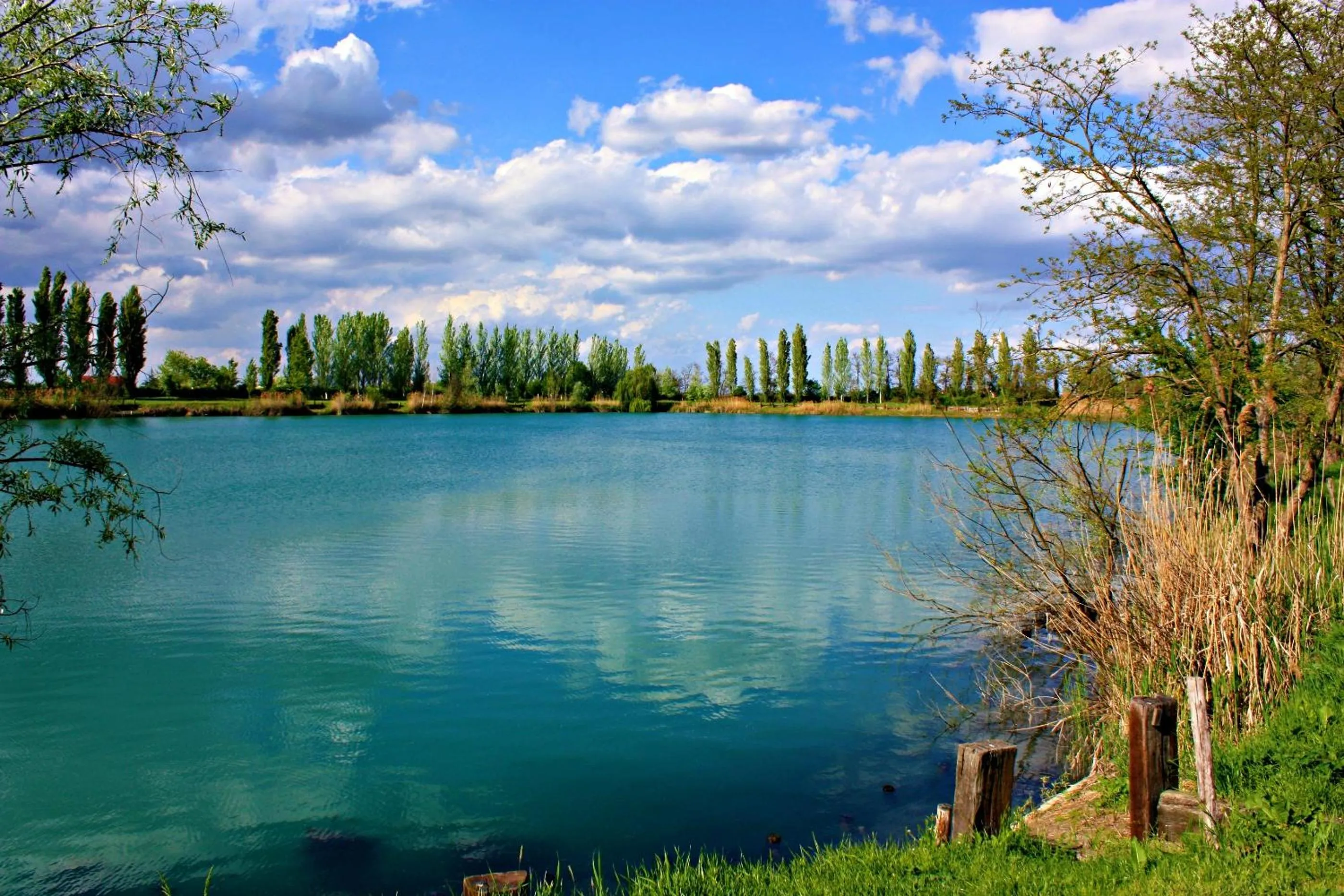 Natural landscape in Agriturismo Ai Due Laghi
