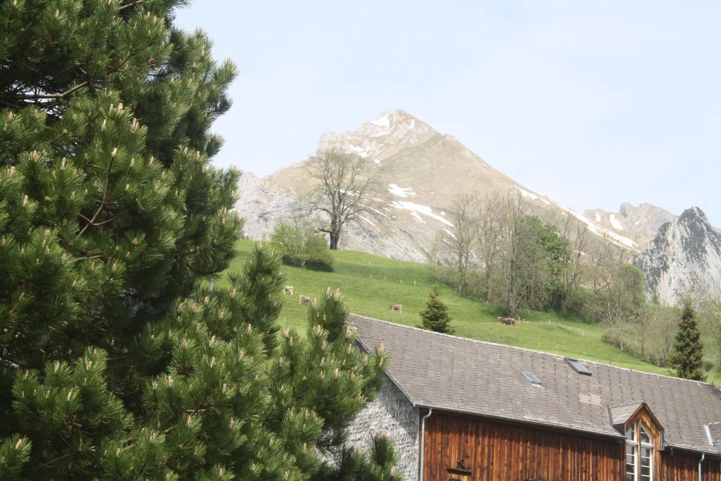 Mountain view in Hotel Restaurant Schönau