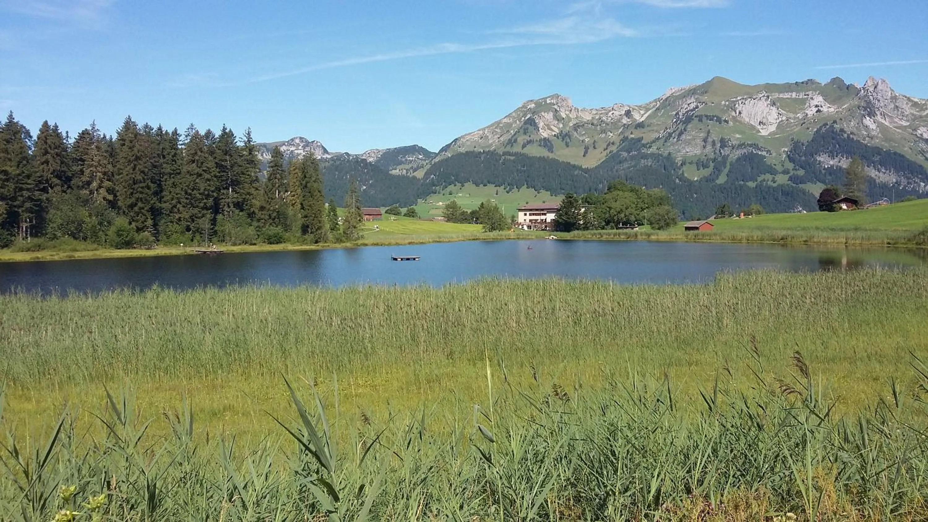 Natural landscape in Hotel Restaurant Schönau