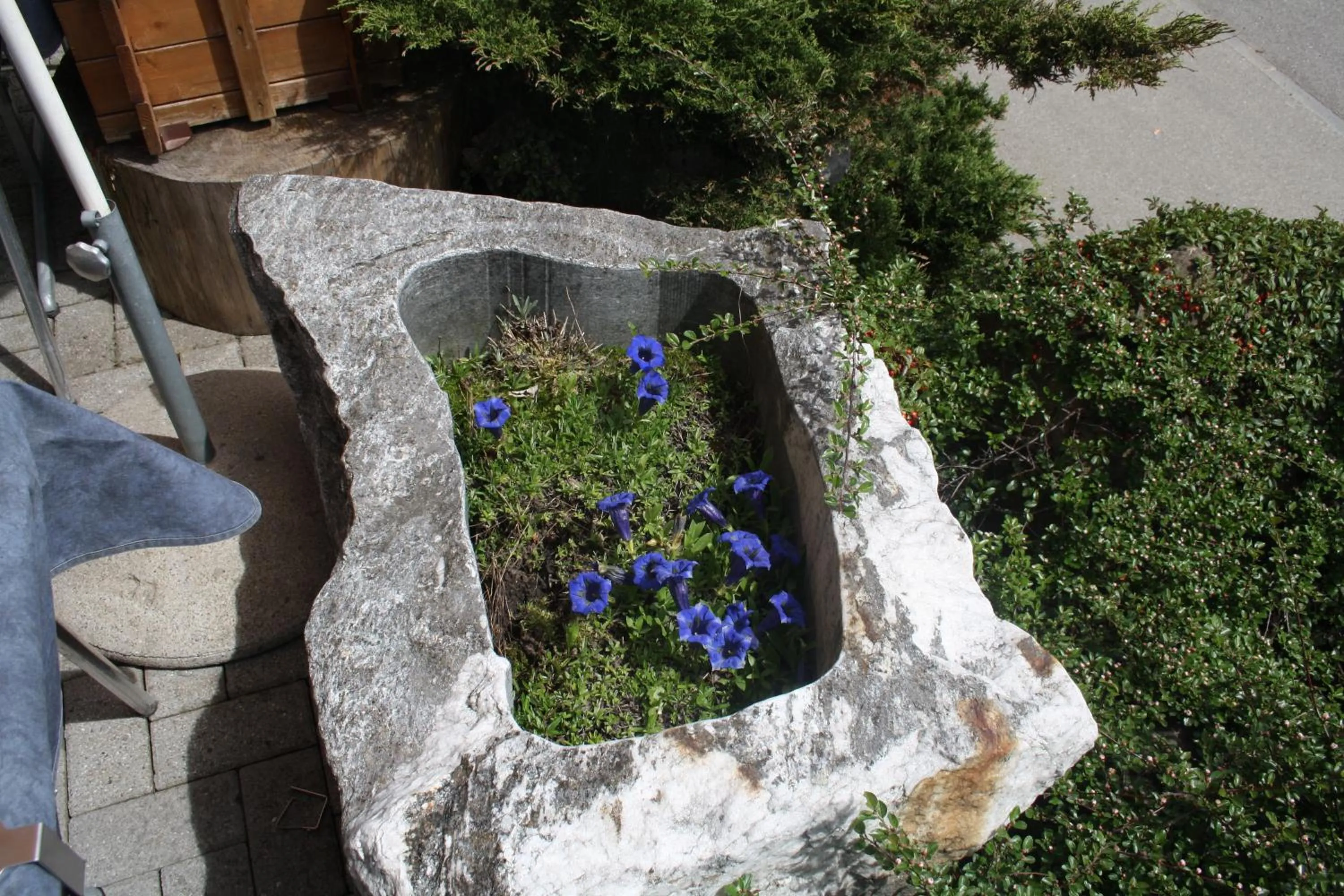 Garden view in Hotel Restaurant Schönau