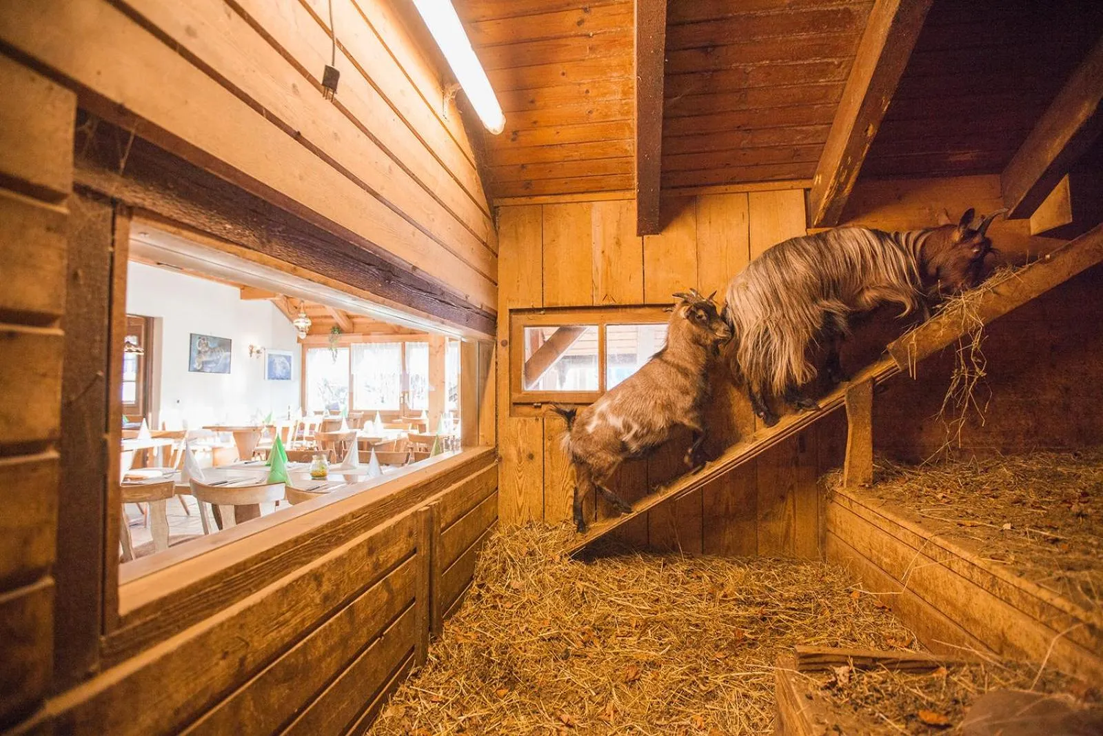 Decorative detail in Hotel Restaurant Schönau