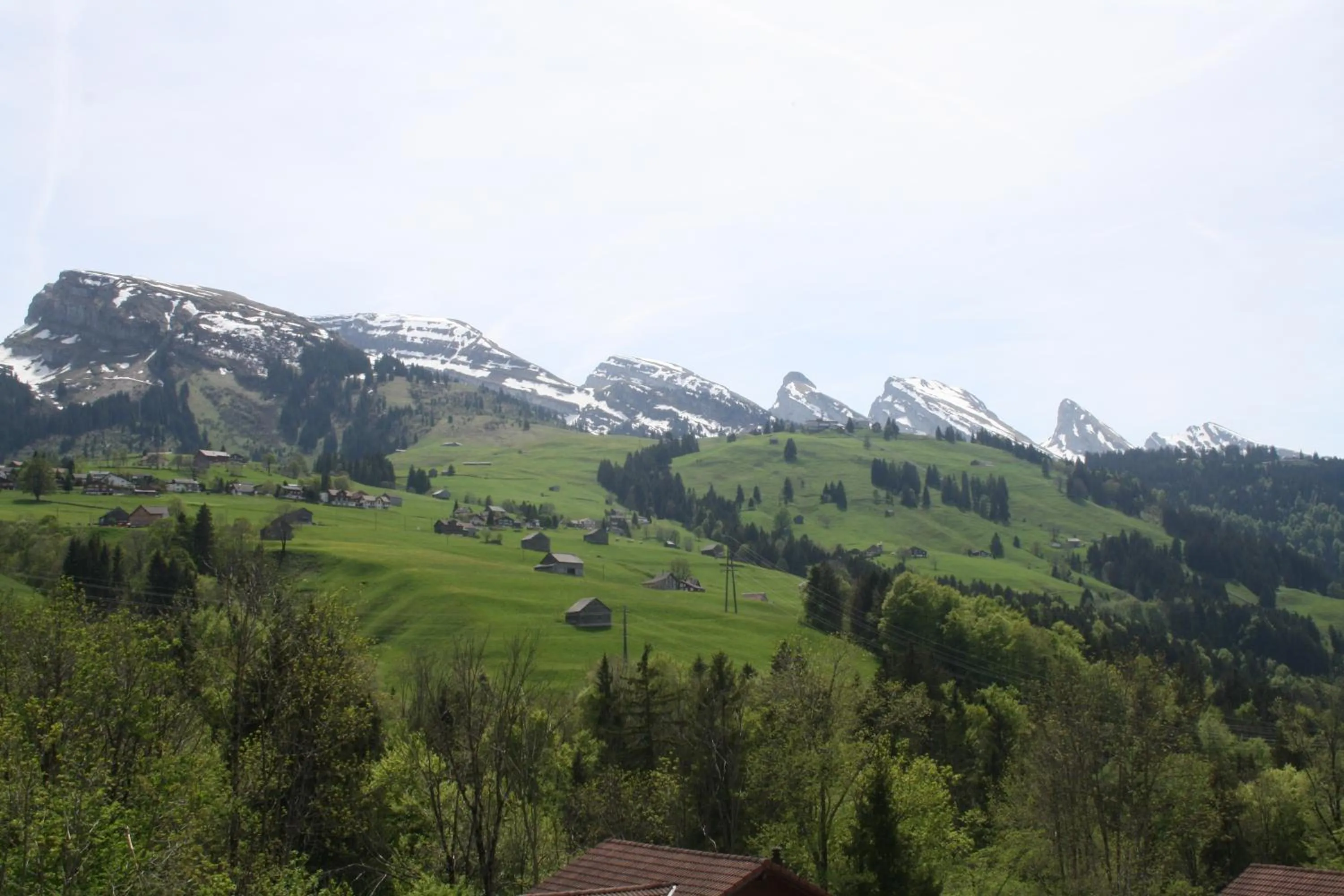 Natural landscape in Hotel Restaurant Schönau