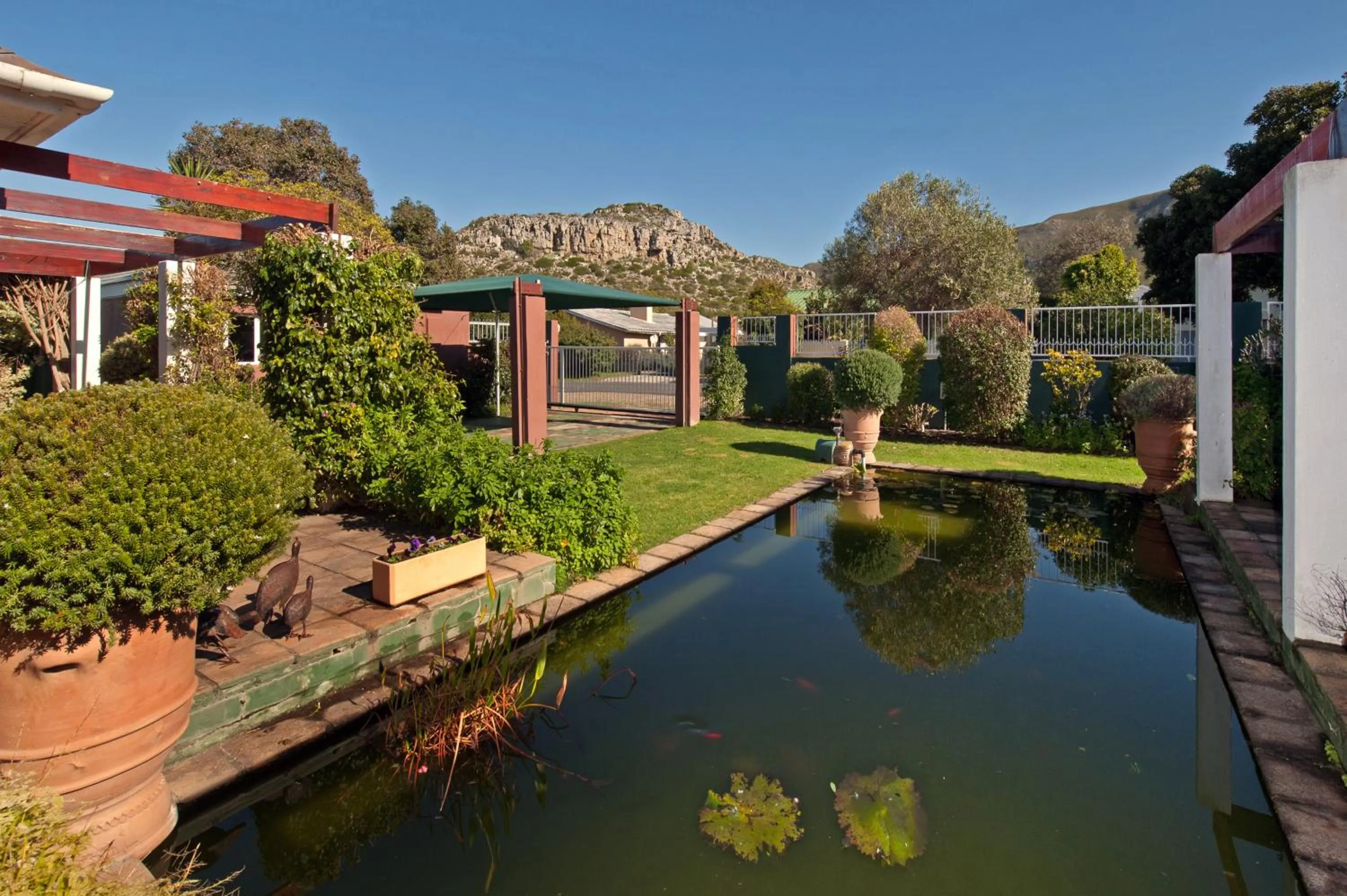 Garden in Brown Jug Guest House