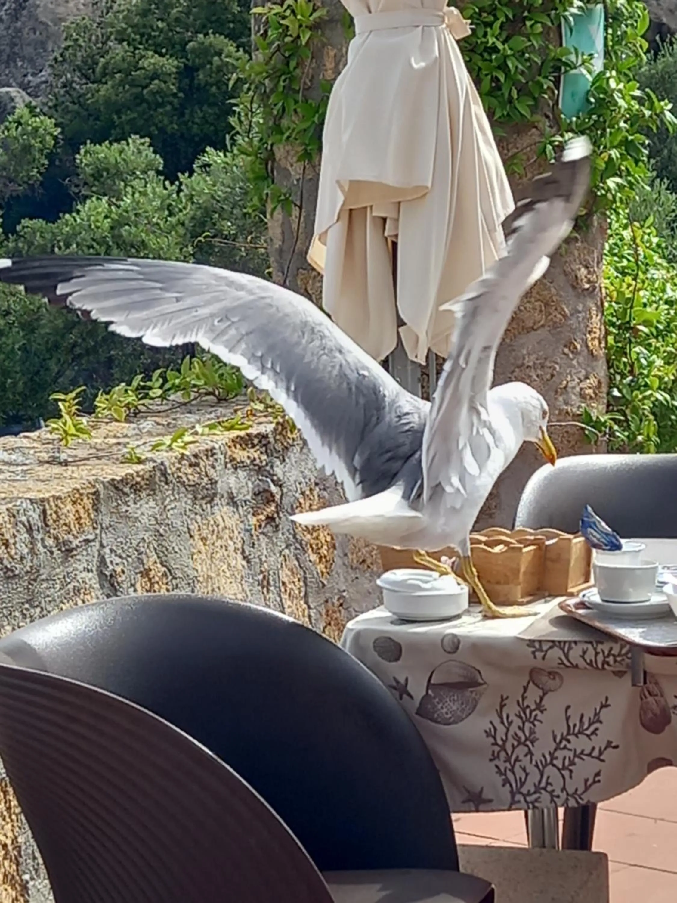 Drinks in Hotel Olimpia