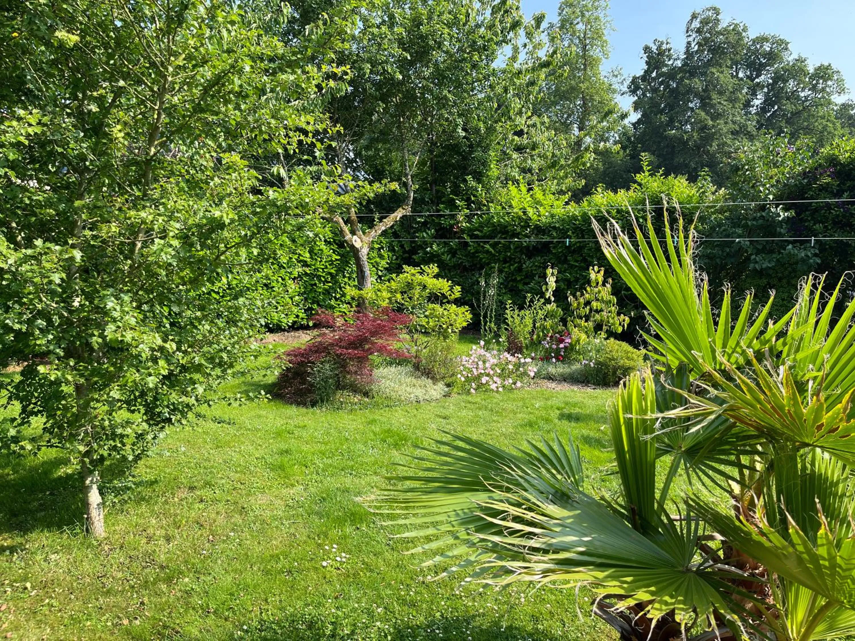 Garden in La Maison