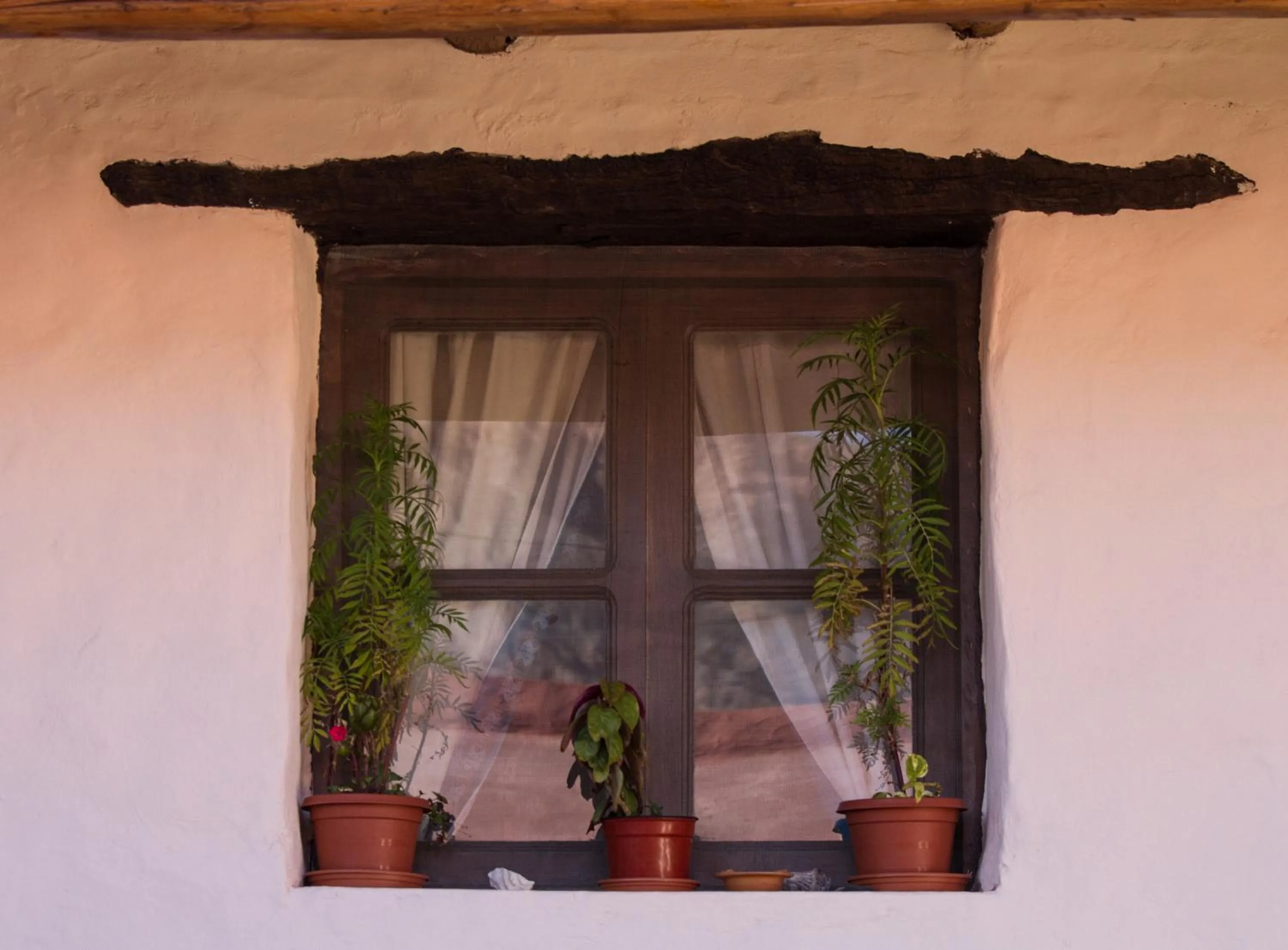 Garden in Hotel Norte Rupestre