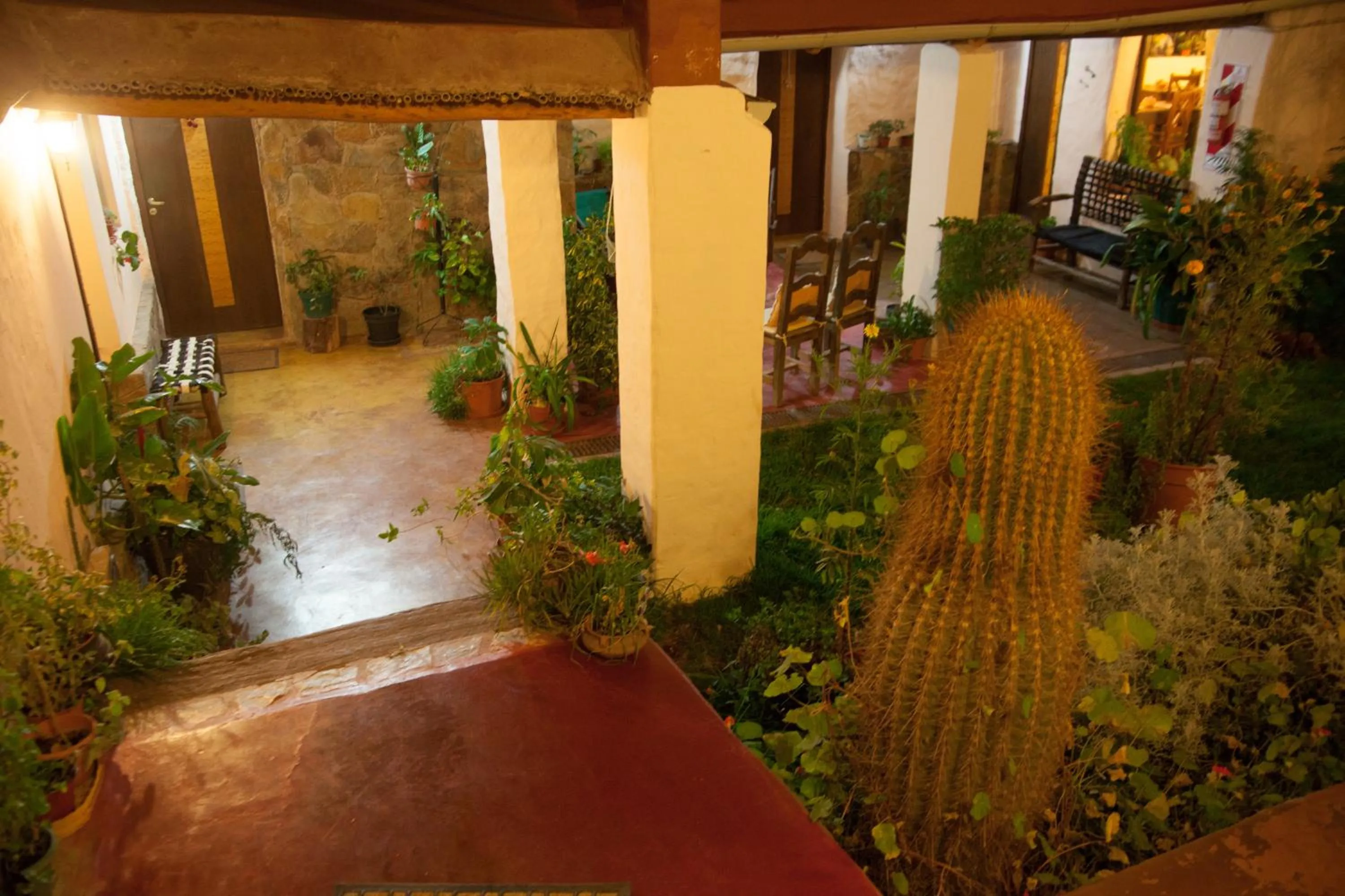 Garden in Hotel Norte Rupestre