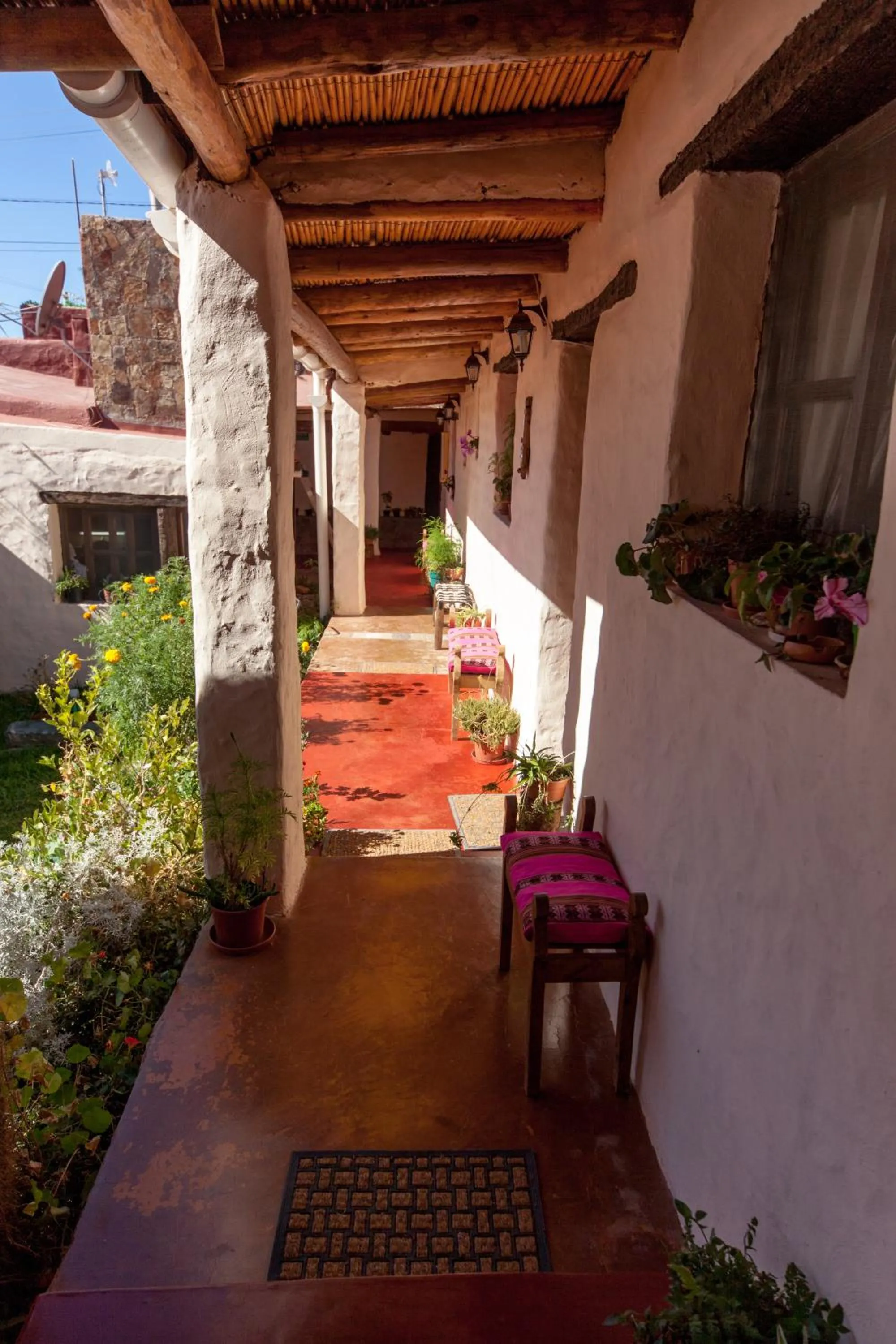 Garden in Hotel Norte Rupestre