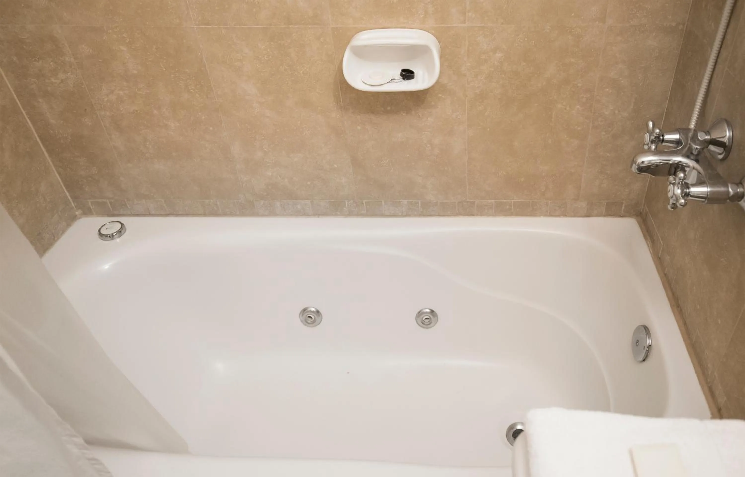 Shower in Color Botánico