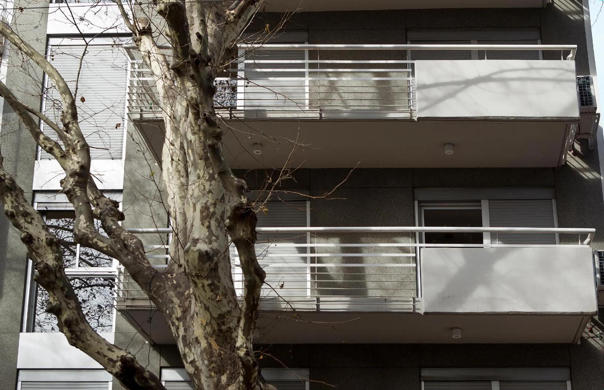 Property building in Color Botánico