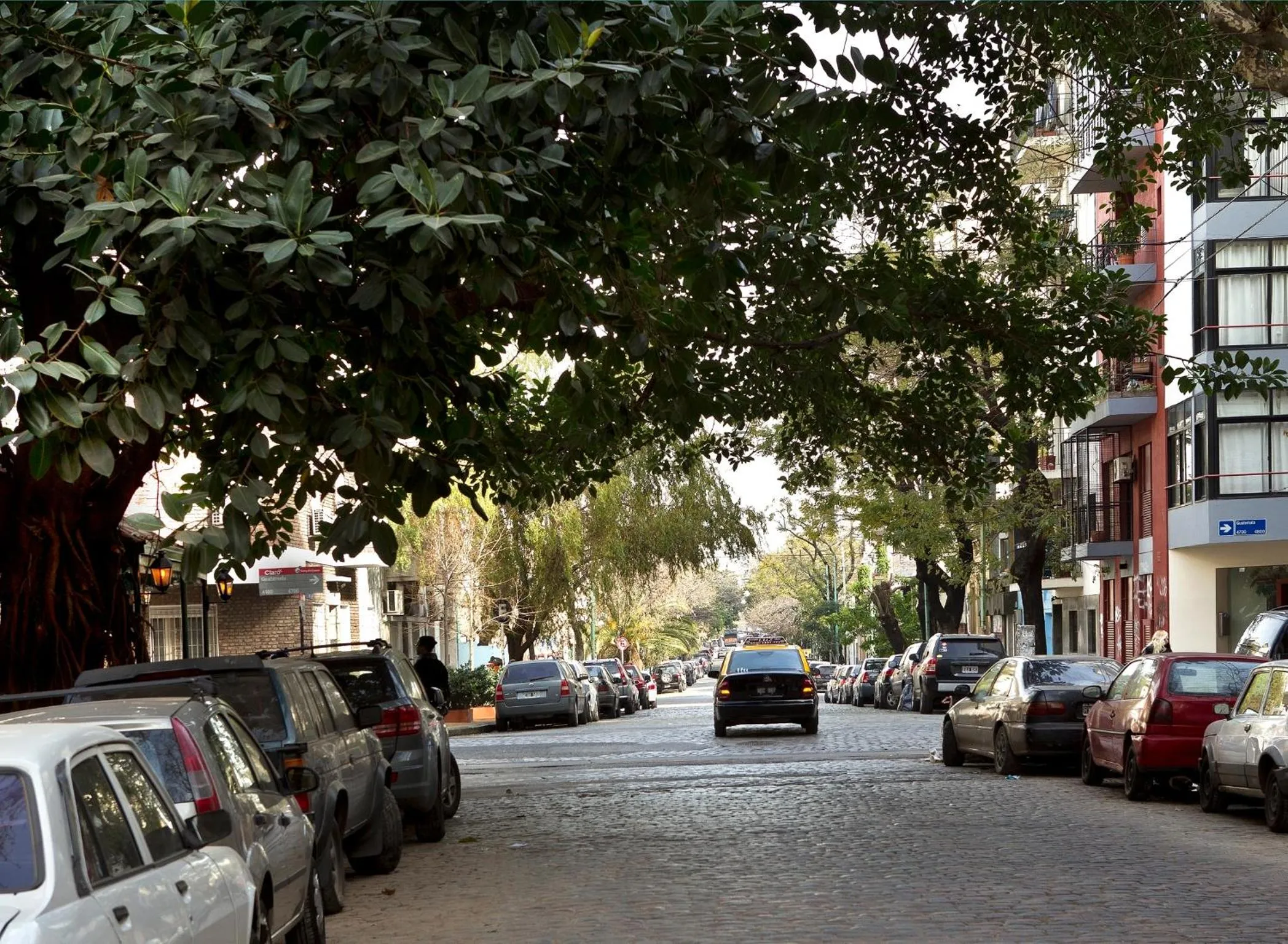 Day in Color Botánico