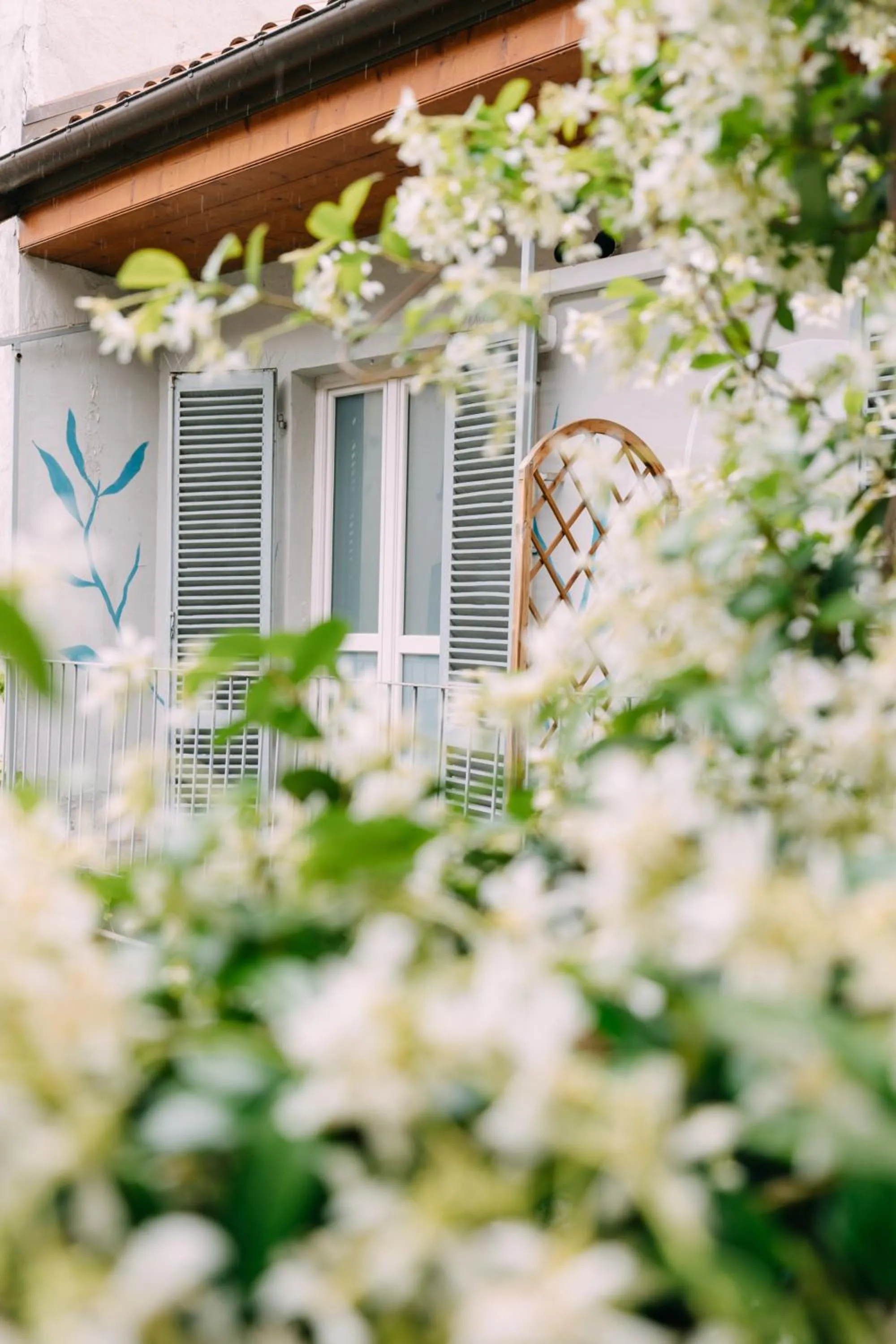 Garden view in Tomato Urban Retreat